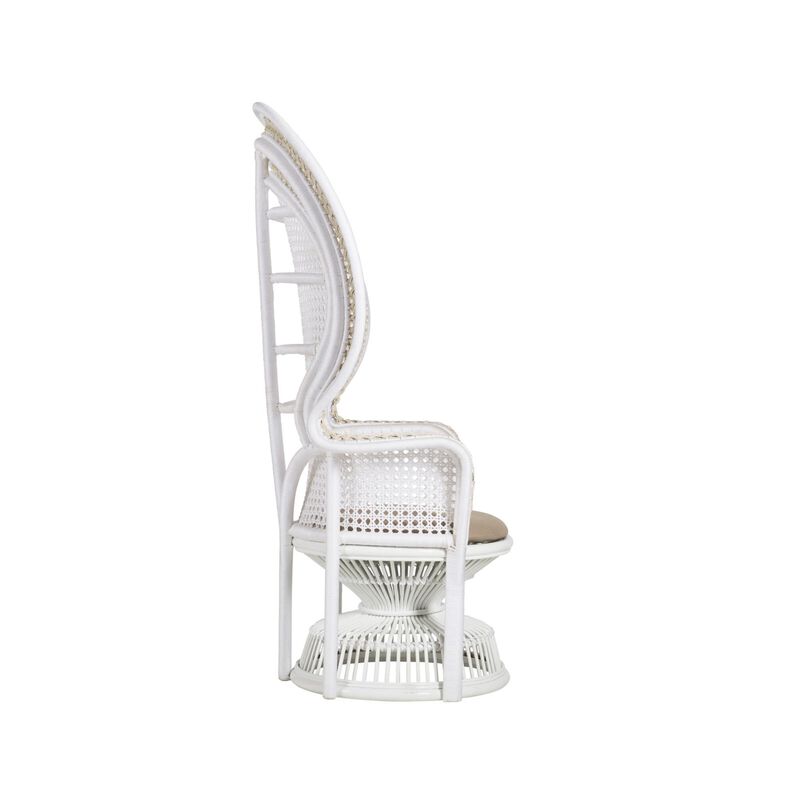 Emanuelle Accent Chair by Currey & Company