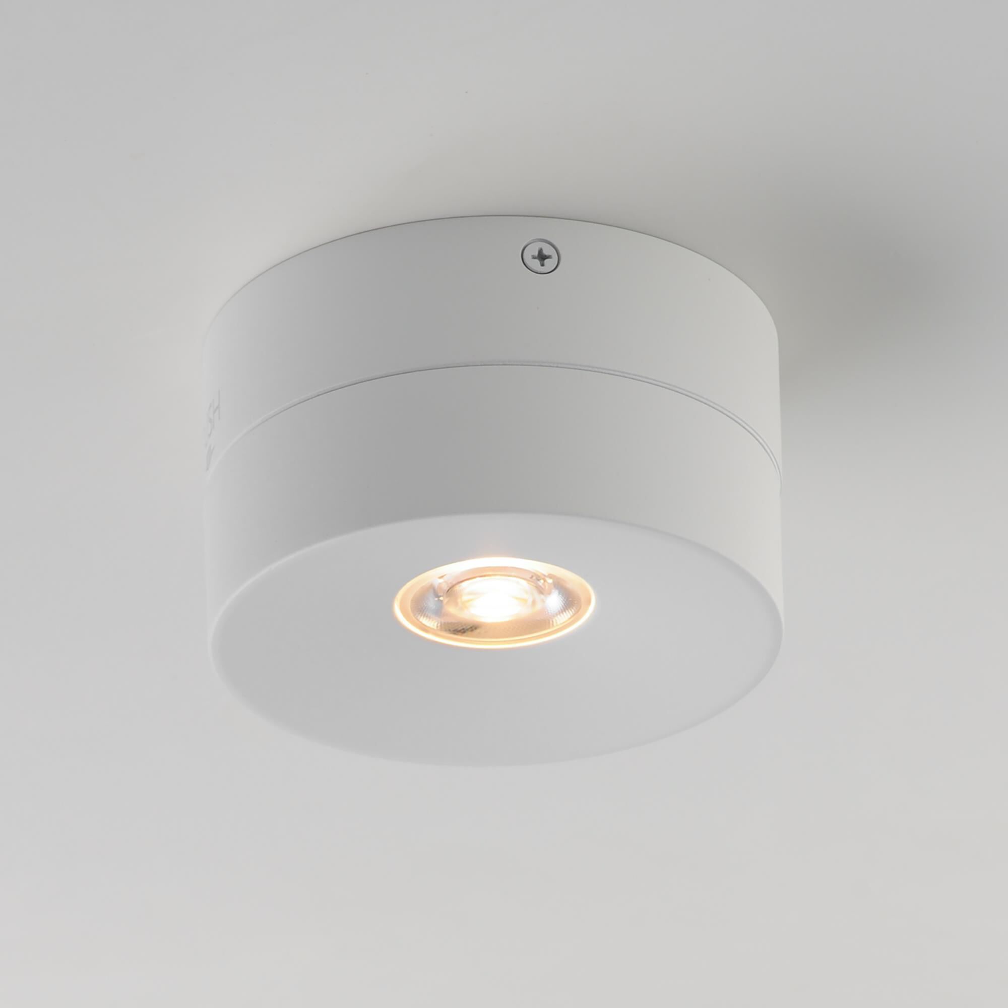 Swinger 5 Inch Flush Mount by Maxim Lighting