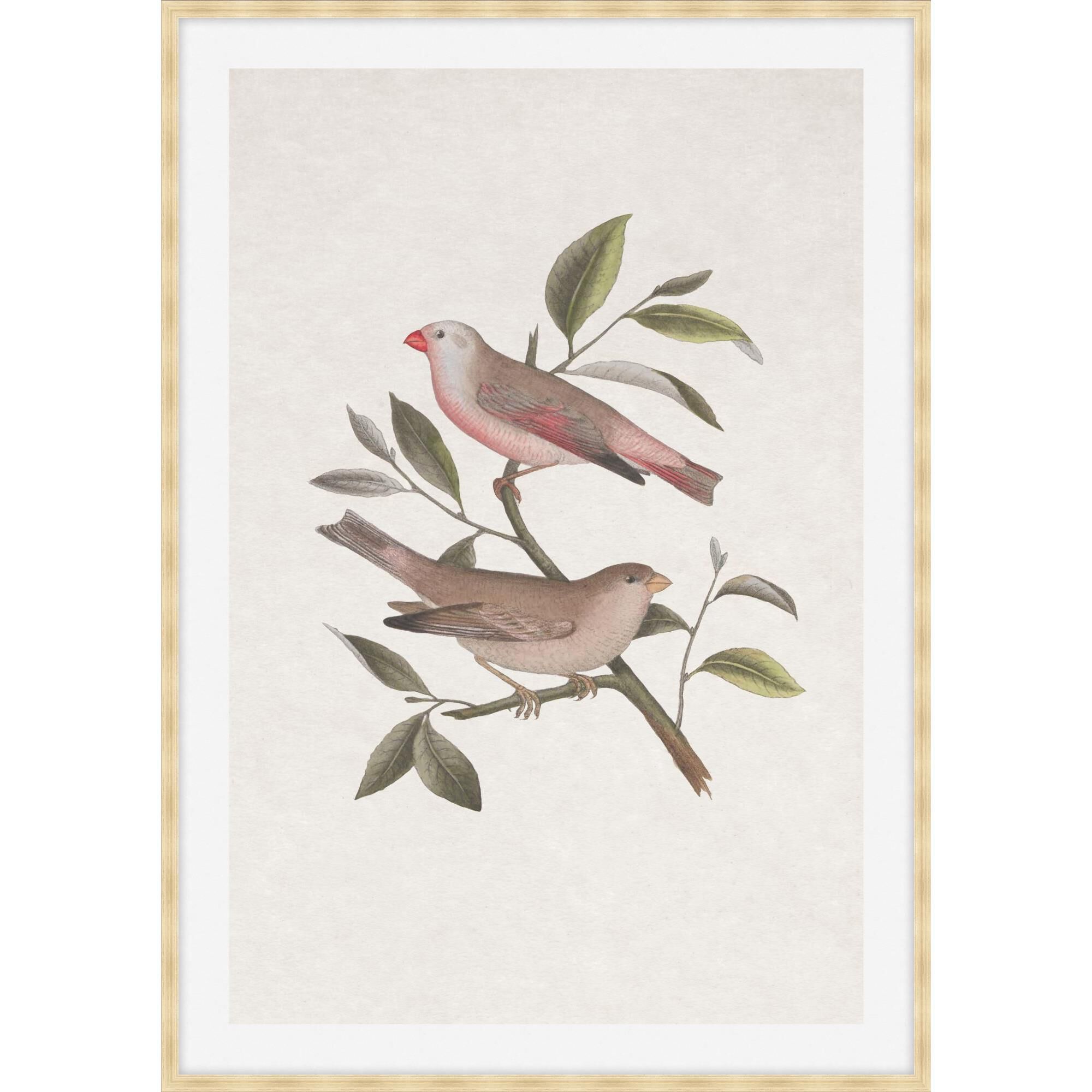 Studio L57 Nouvelle Nesting Navigators Ivory Print by LEVEL57