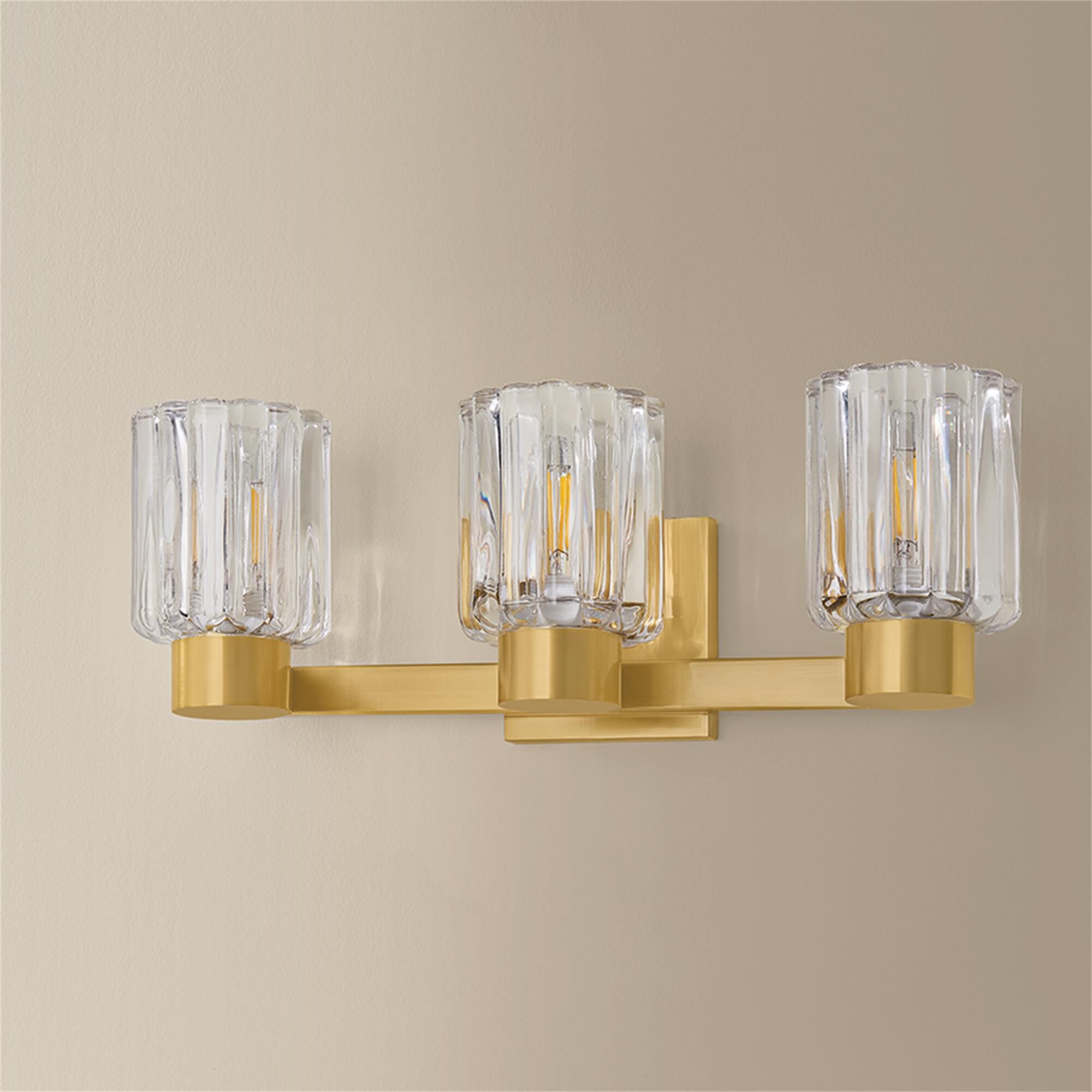 Danae 18 Inch 3 Light Bath Vanity Light,