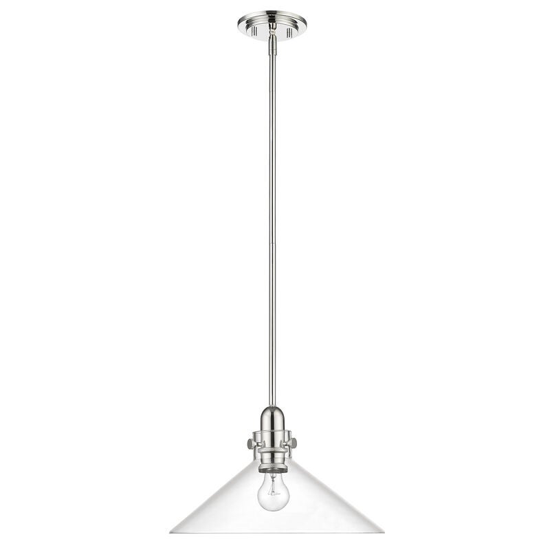 Acclaim Lighting Dwyer 15 Inch Large Pendant