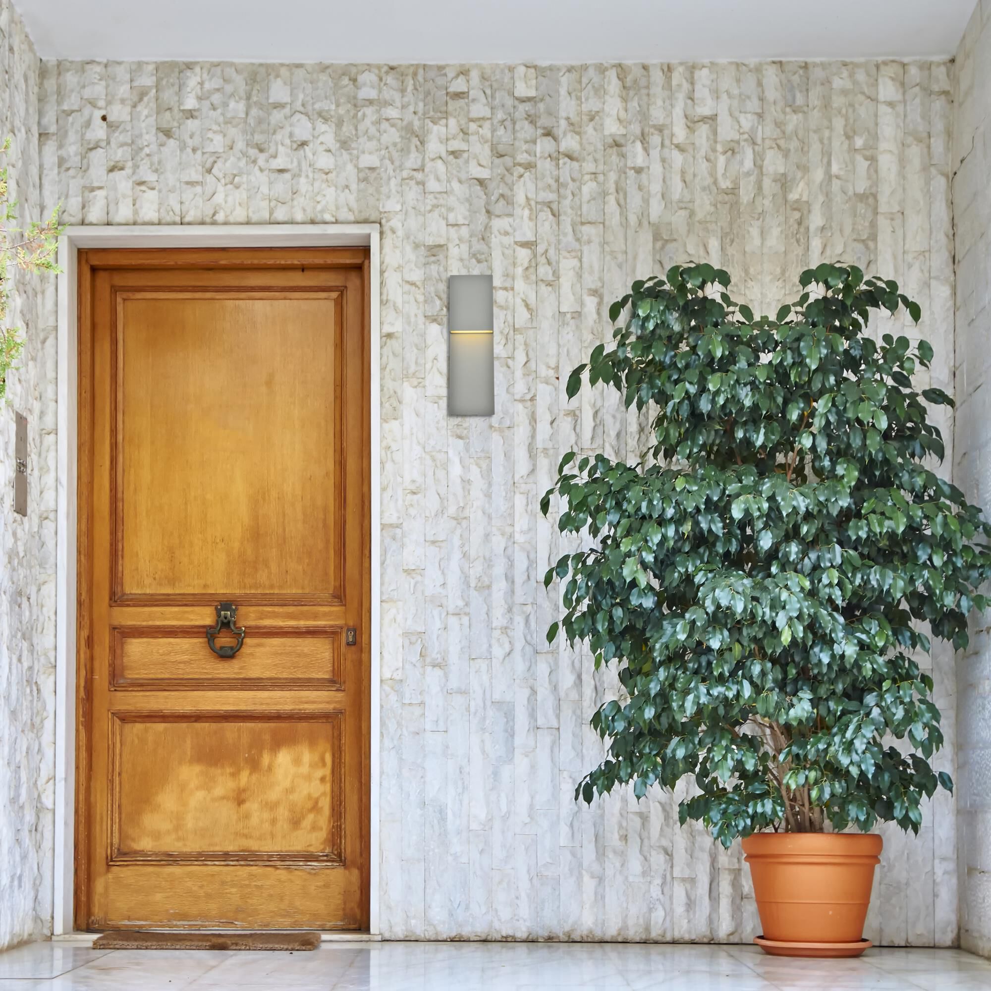 Elegant Lighting Raine 16 Inch Tall LED Outdoor Wall Light