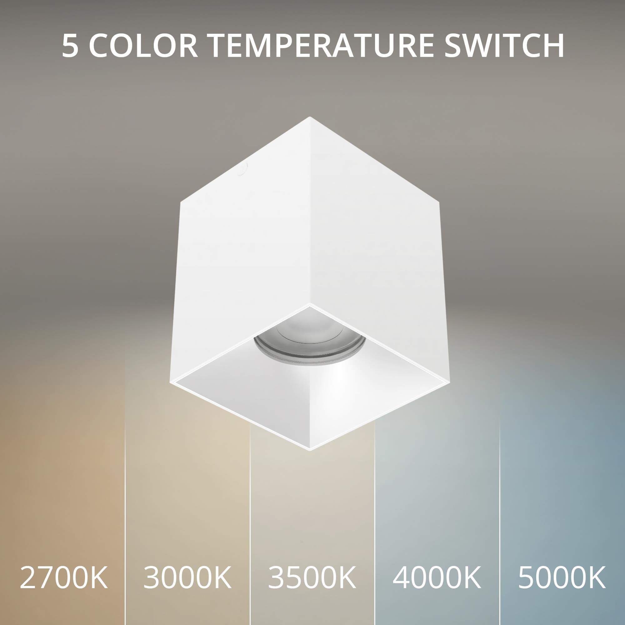 Zoron 4 Inch Outdoor Flush Mount by WAC Lighting