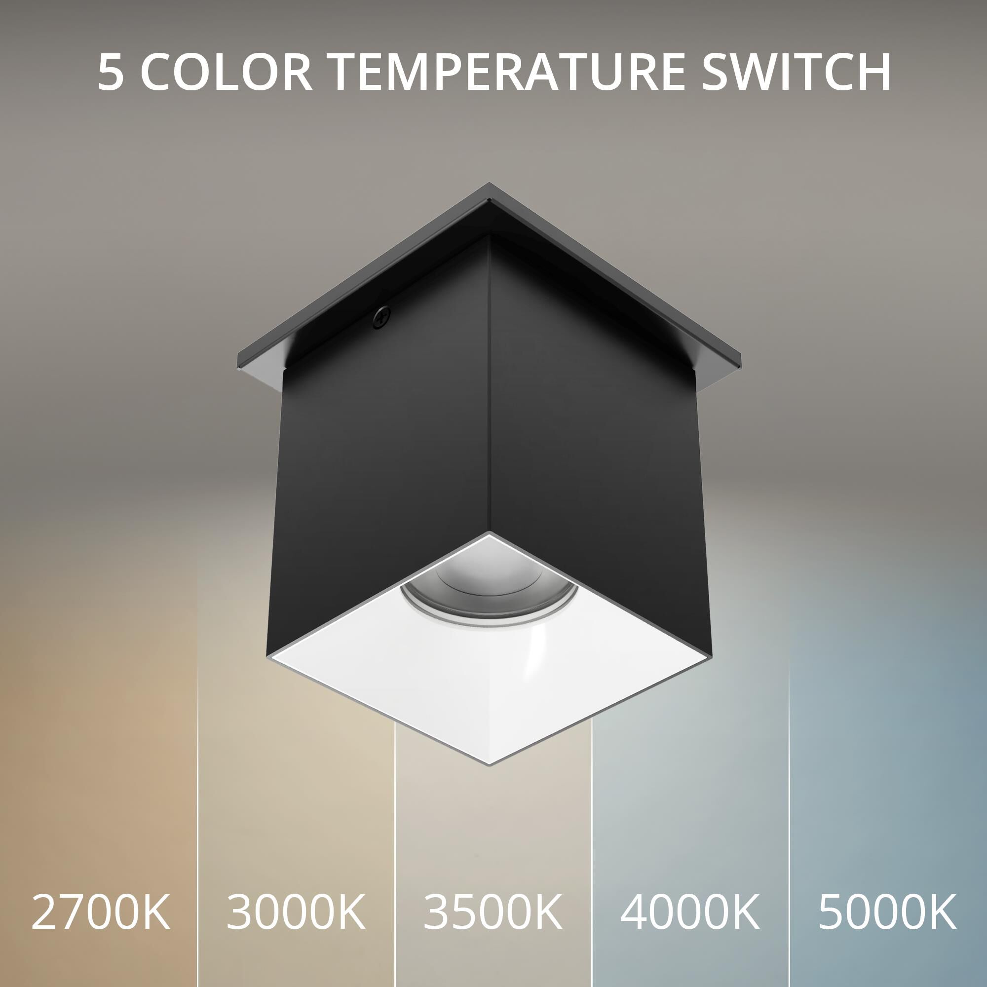 Zoron 5 Inch Outdoor Flush Mount by WAC Lighting