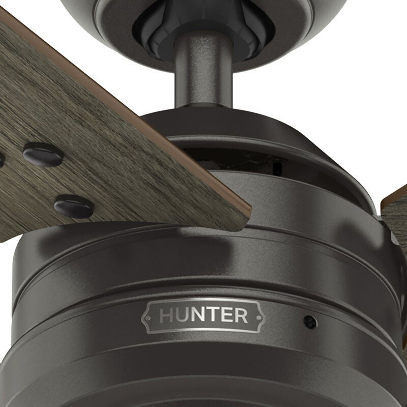 Cassius 44 Inch Ceiling Fan by Hunter Fan