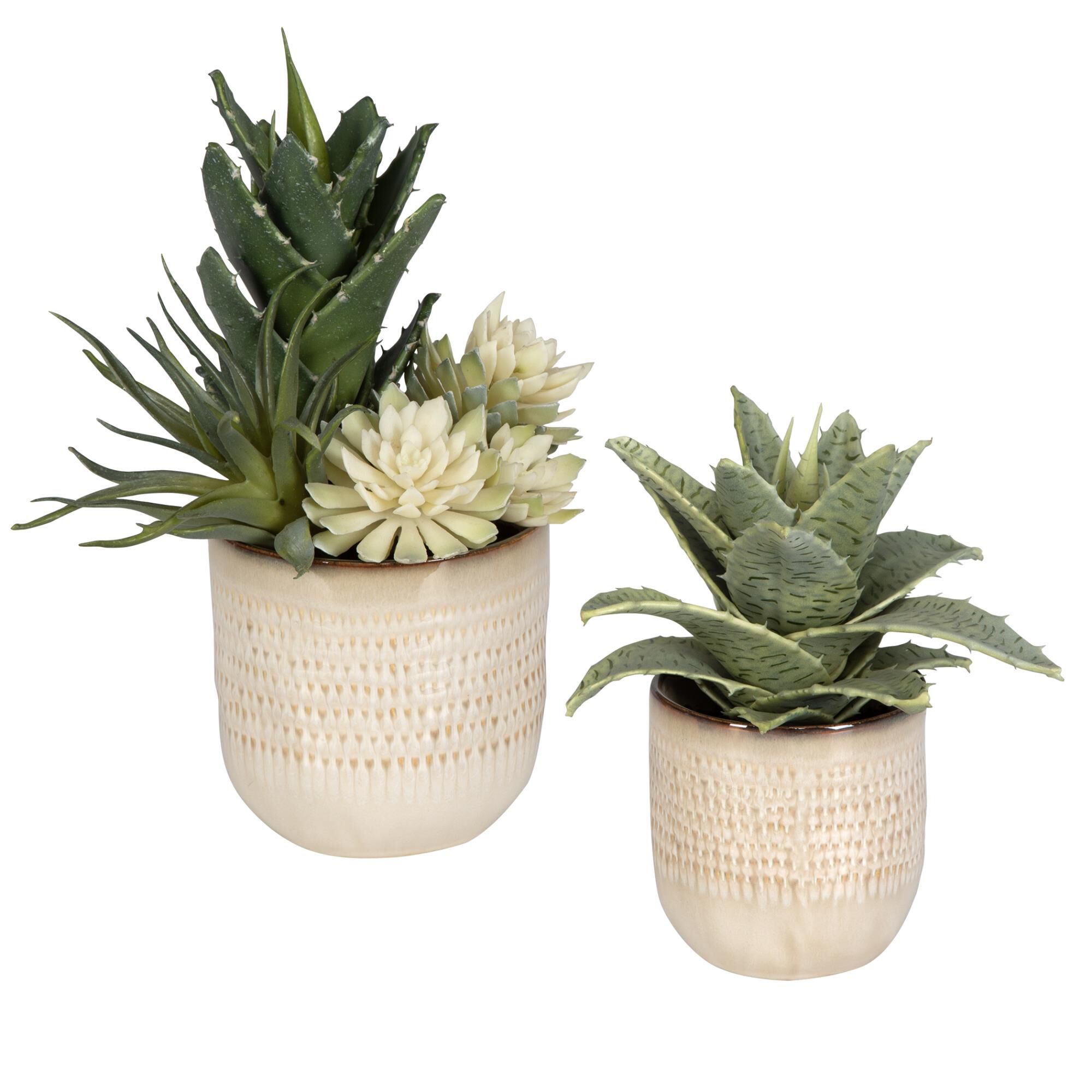 Shown in A Refreshing Blend Of Spiked Succulents Set Into Textured Ceramic Containers, Glazed In Neutral Tan  finish