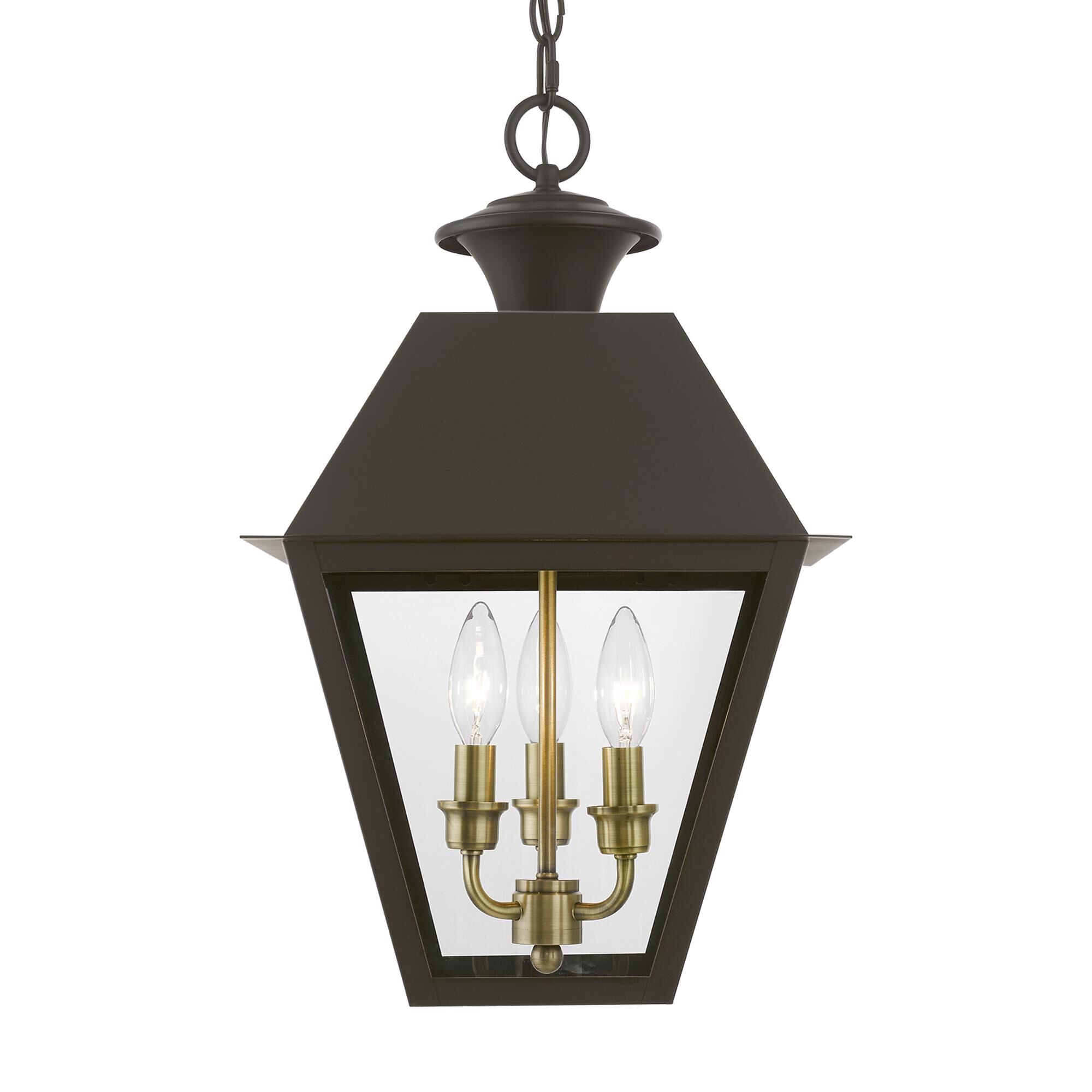 Shown in Bronze with Antique Brass Finish Cluster finish and Clear glass
