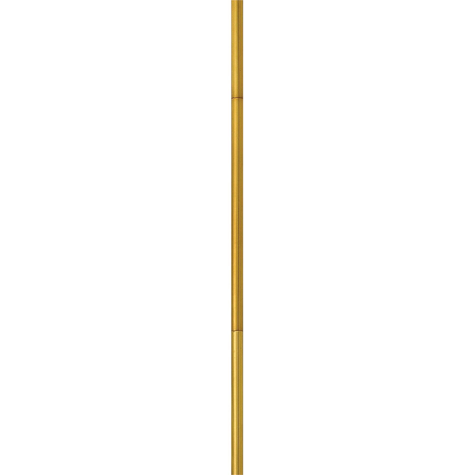 12 Inch Tall Stem Segment,