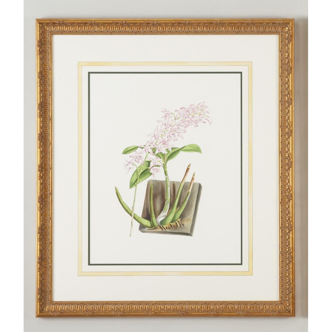 Dend Kingianum Painting by Chelsea House