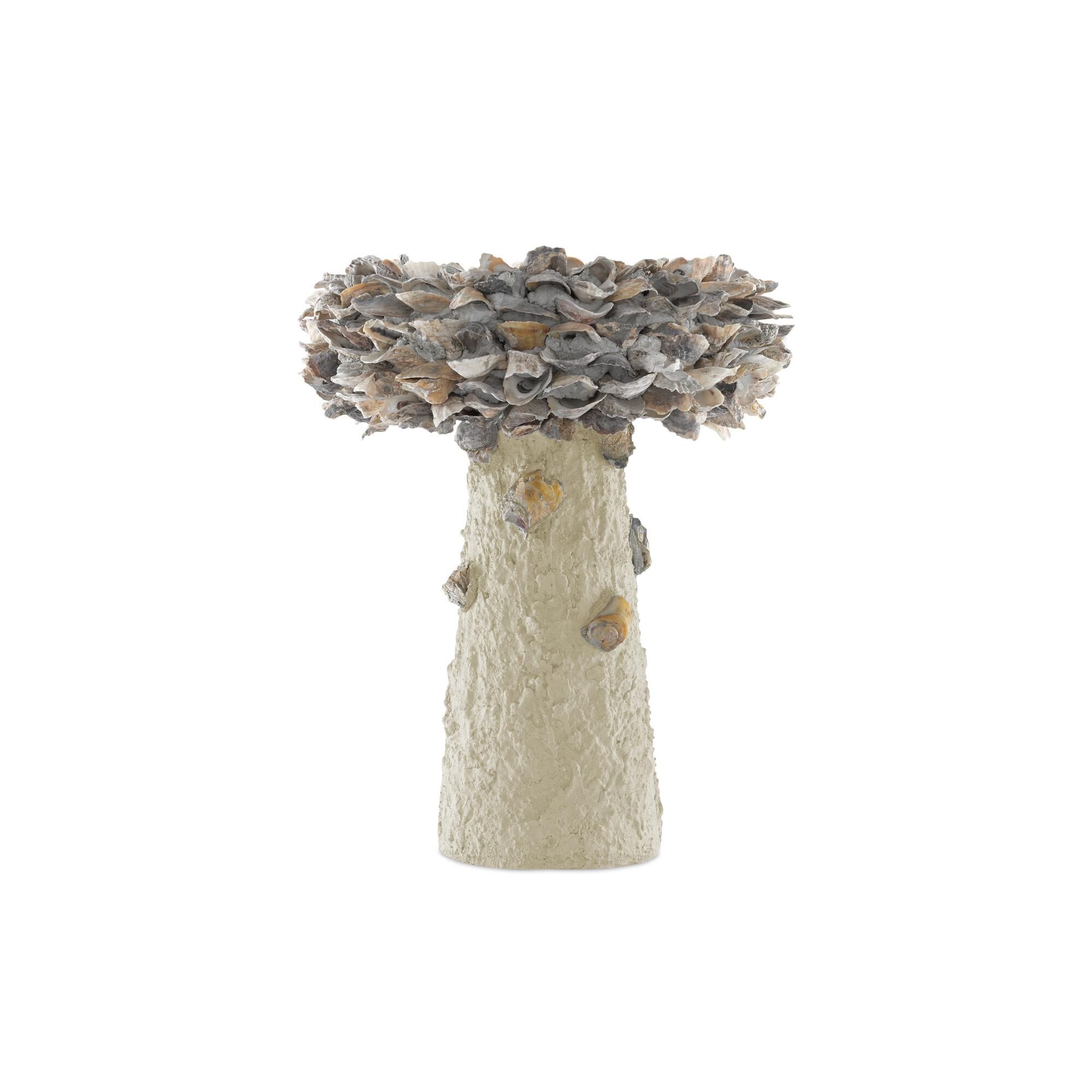 Oyster Shell Medium Bird Bath Other Home Accent by Currey and Company
