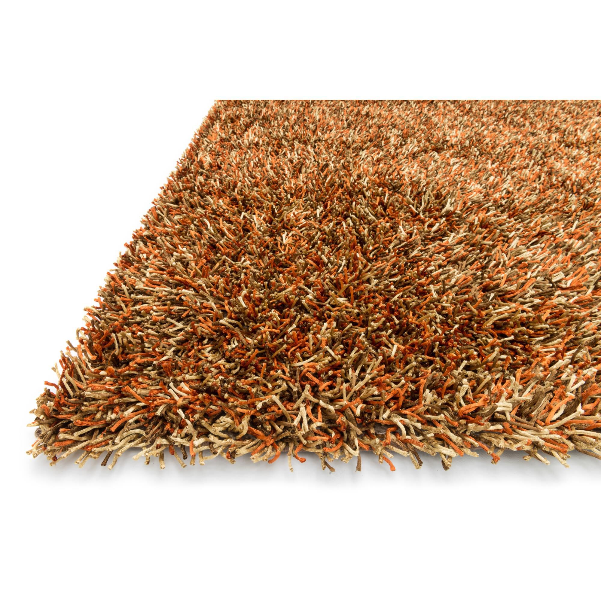 Carrera Shag Area Rug by Loloi Rugs