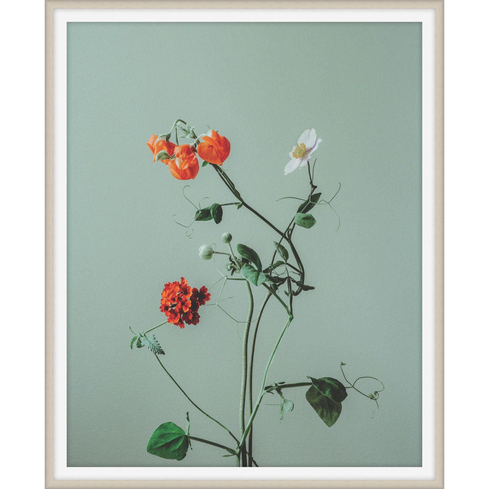 Atonement Petals Print by LEVEL57