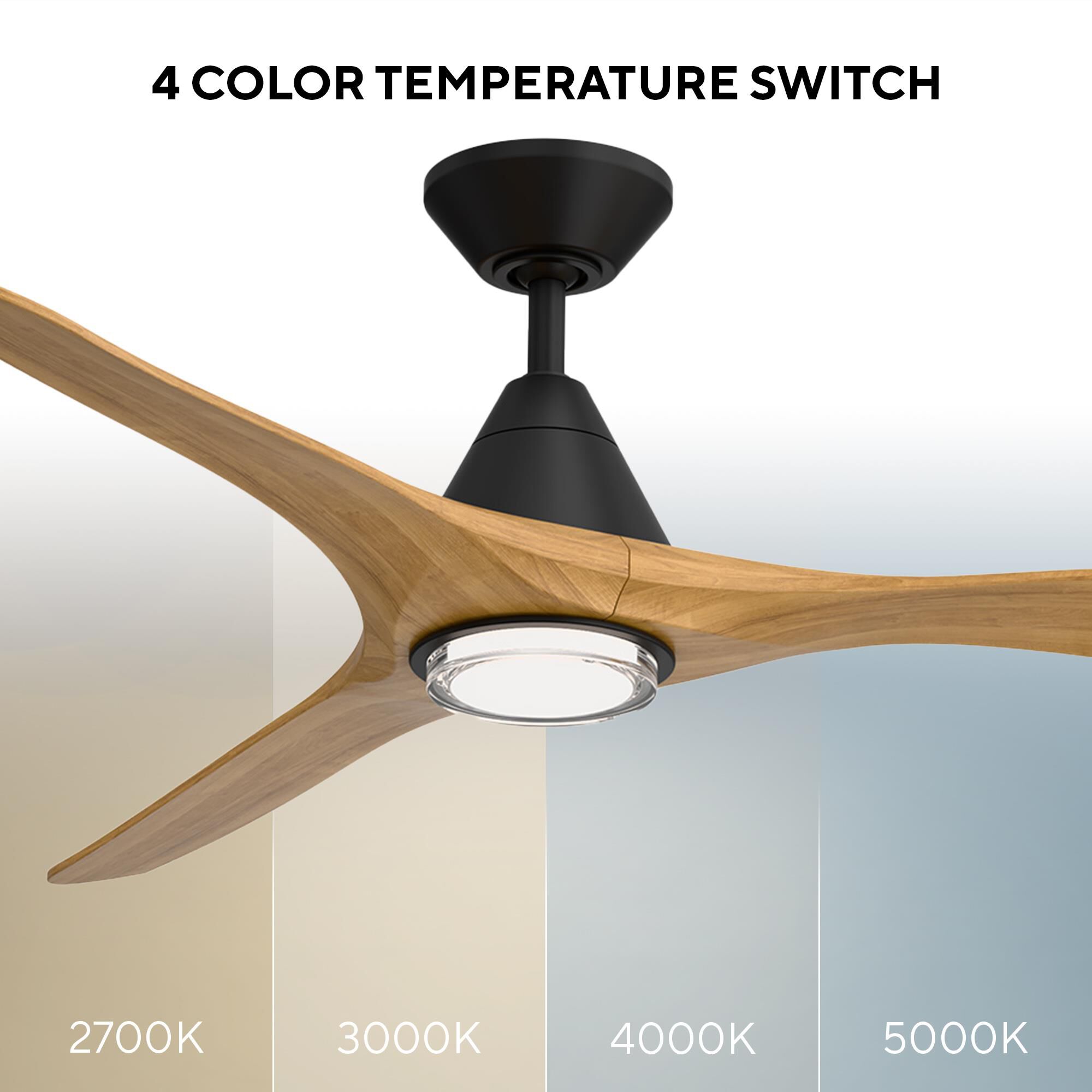 Carve 72 Inch Ceiling Fan with Light Kit by Modern Forms