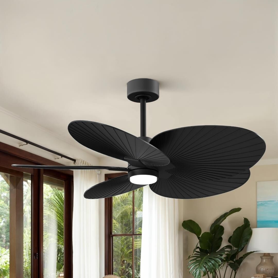 Alessandra Tropical Outdoor Rated 48 Inch Ceiling Fan with Light Kit by Matthews Fan Company
