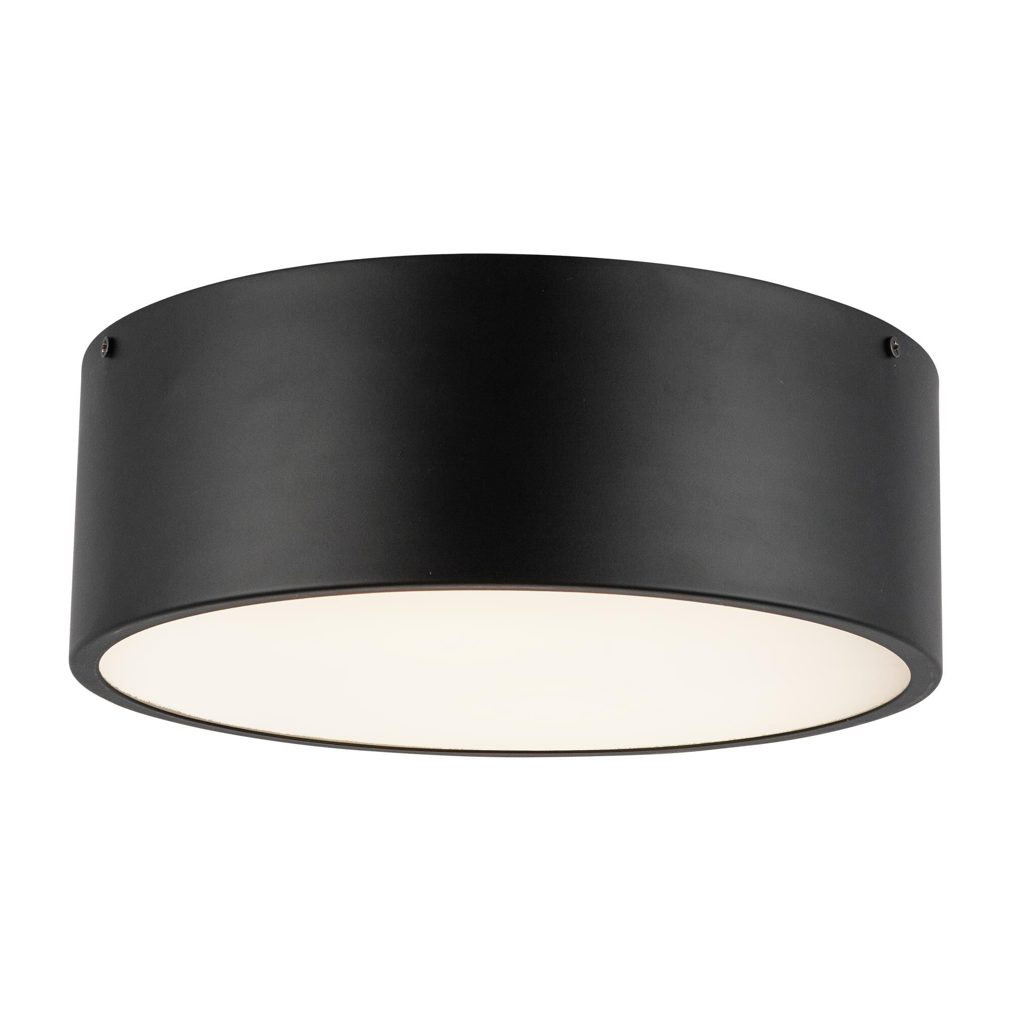 Brisbane 12 Inch 2 Light Flush Mount,