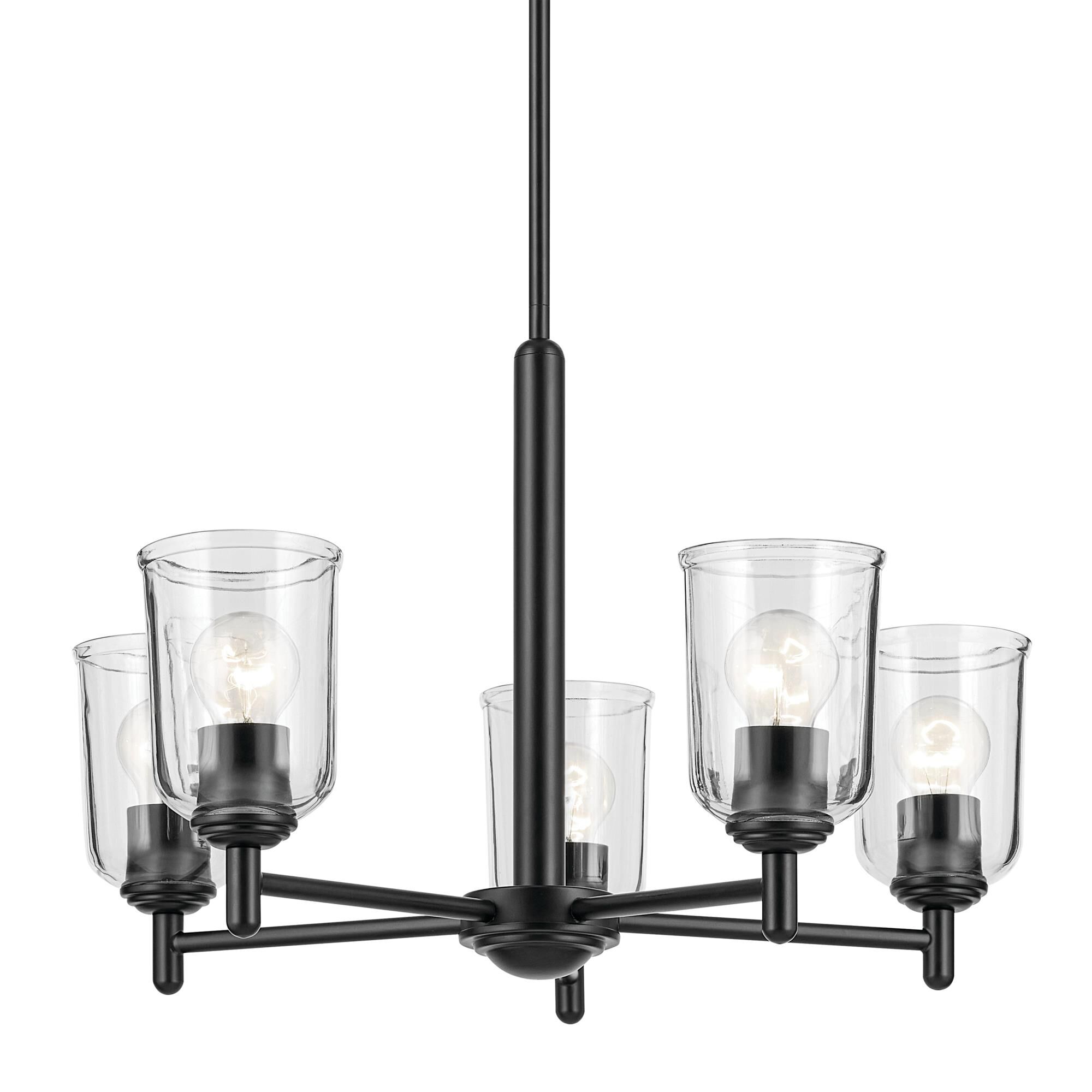 Shown in Black finish and Clear glass