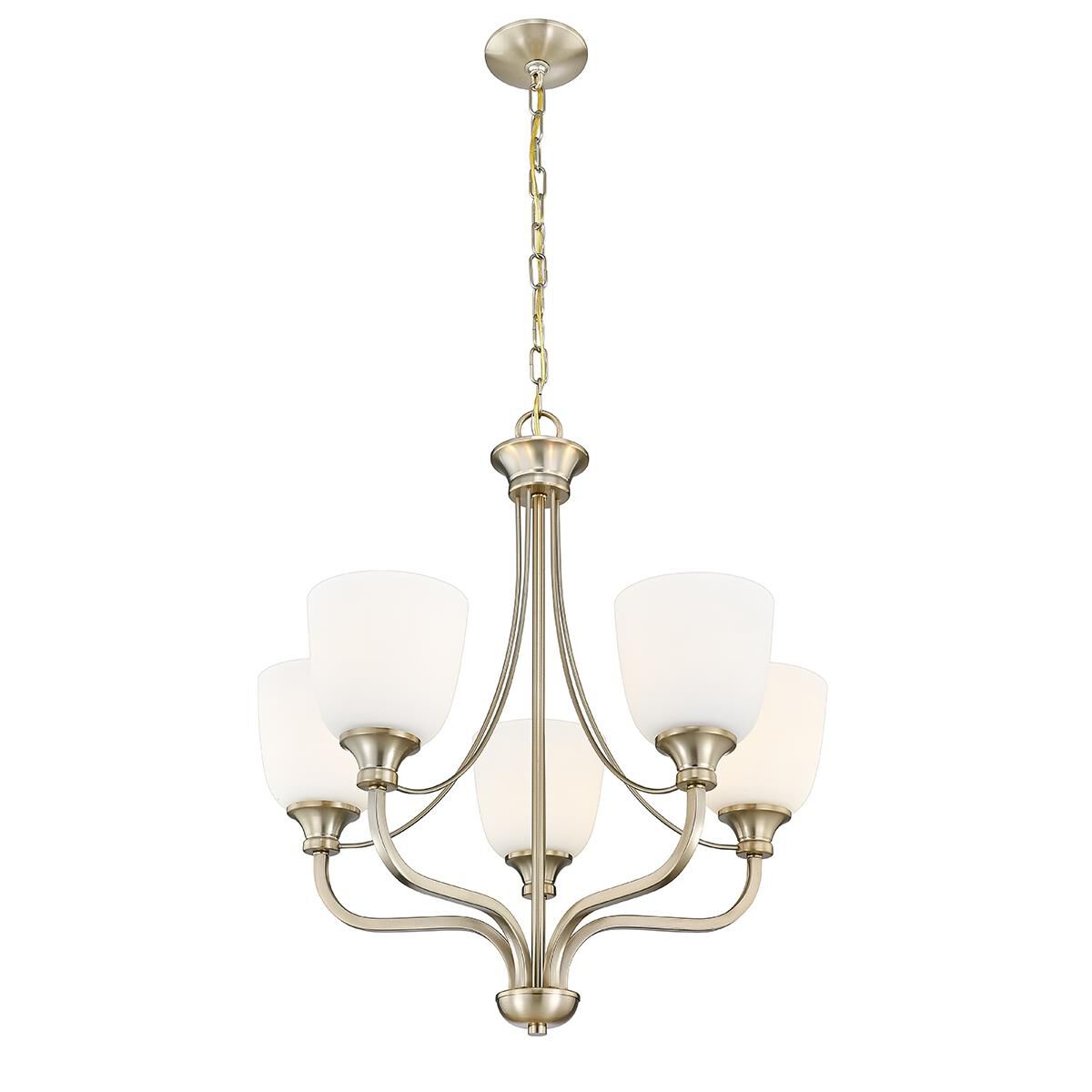 Alberta 24 Inch 5 Light Chandelier by Millennium Lighting