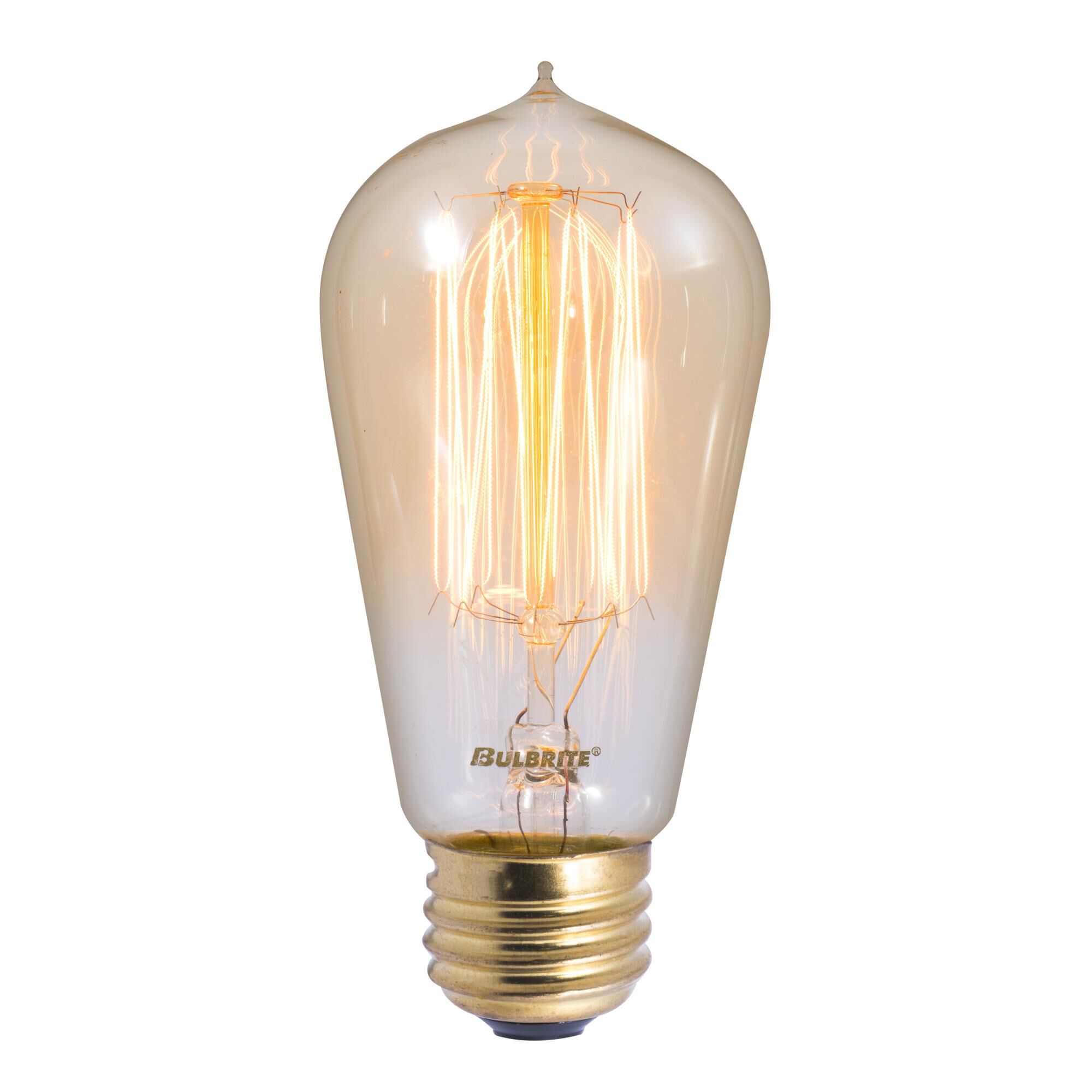 60 Watt 2200K ST18 Incandescent Light Bulb by Bulbrite