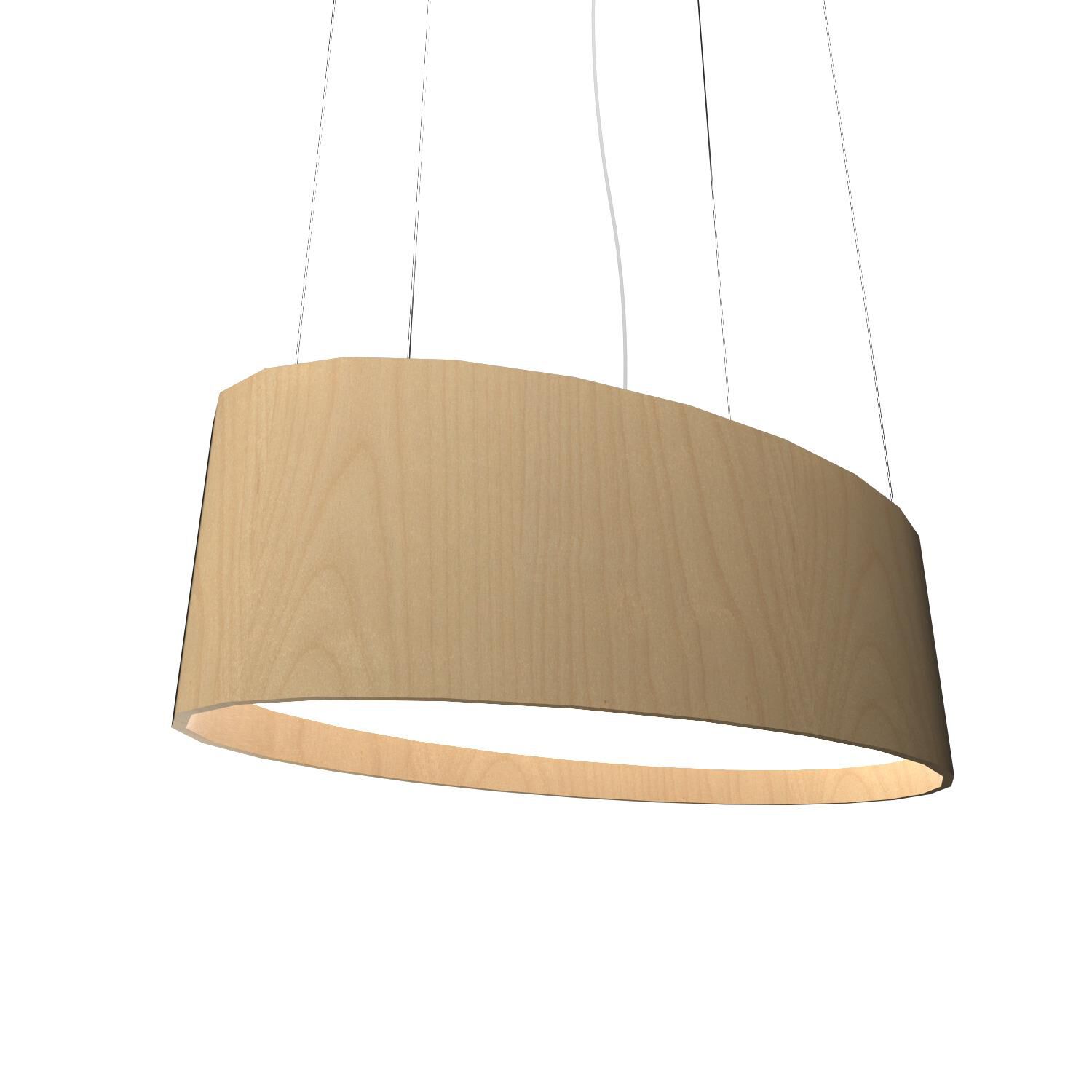 Oval Linear Suspension Light by Accord Lighting