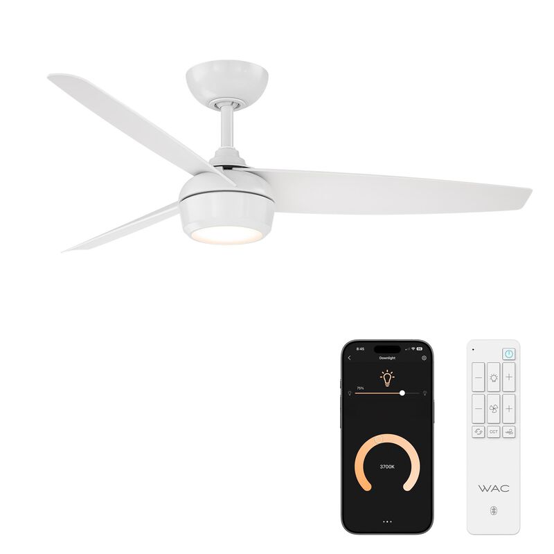 Ferris 52 Inch Ceiling Fan by WAC Lighting