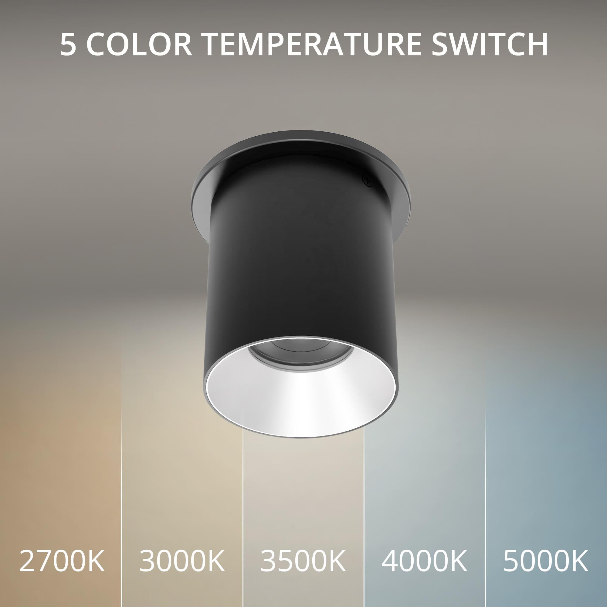 Zoron 5 Inch Outdoor Flush Mount by WAC Lighting