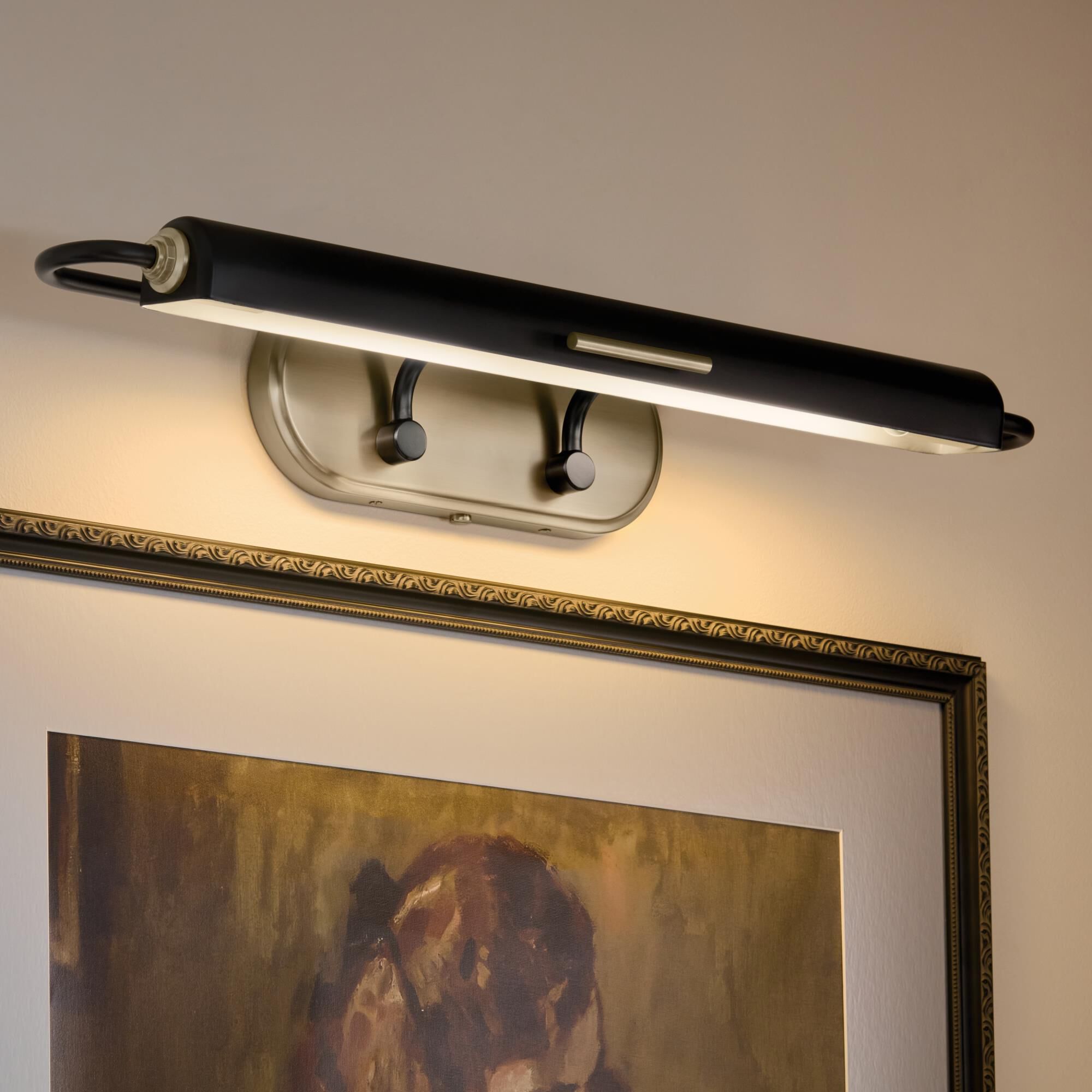 Caillier 29 Inch Picture and Display Light by Kichler Lighting