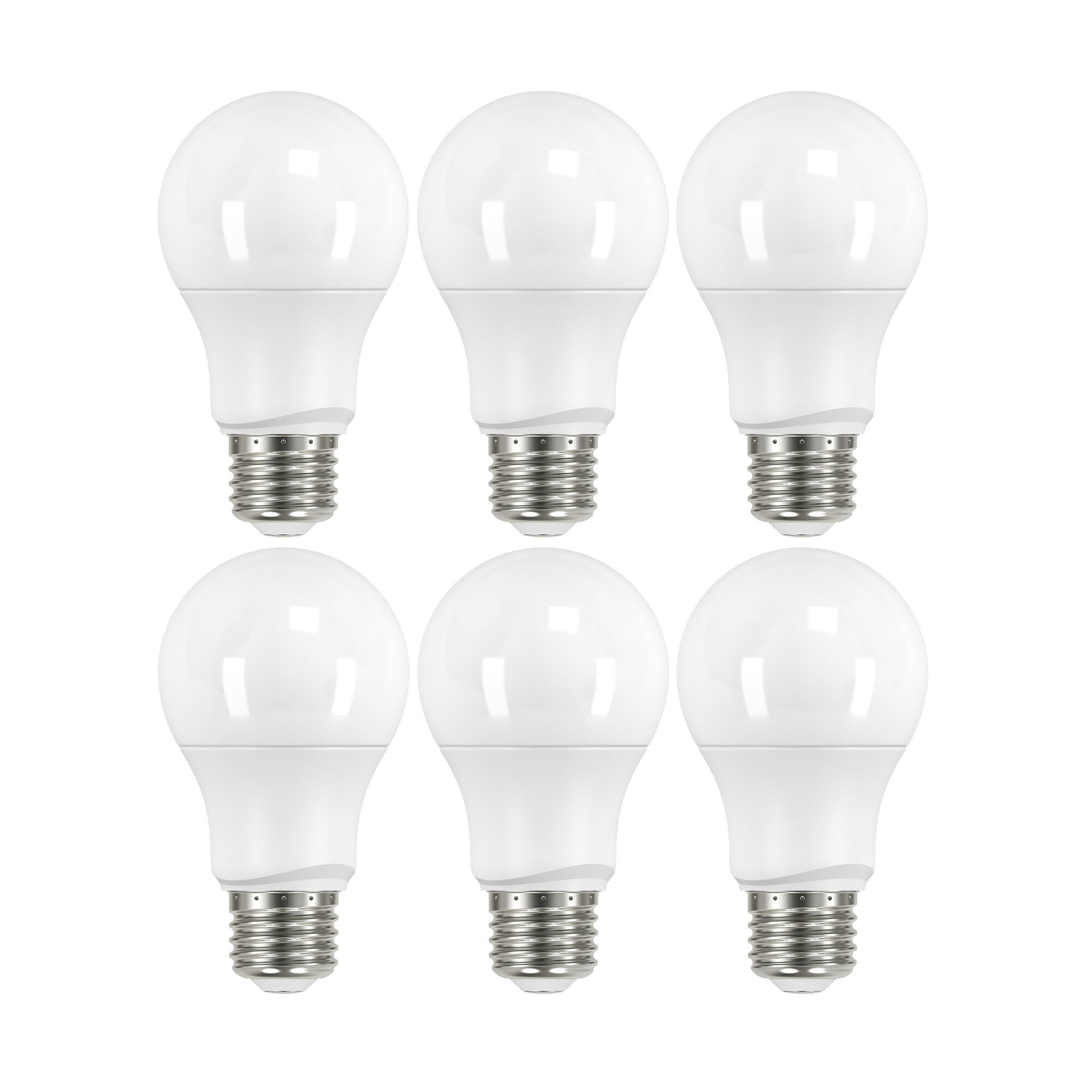 6 Watt 2700K A19 LED Light Bulb,