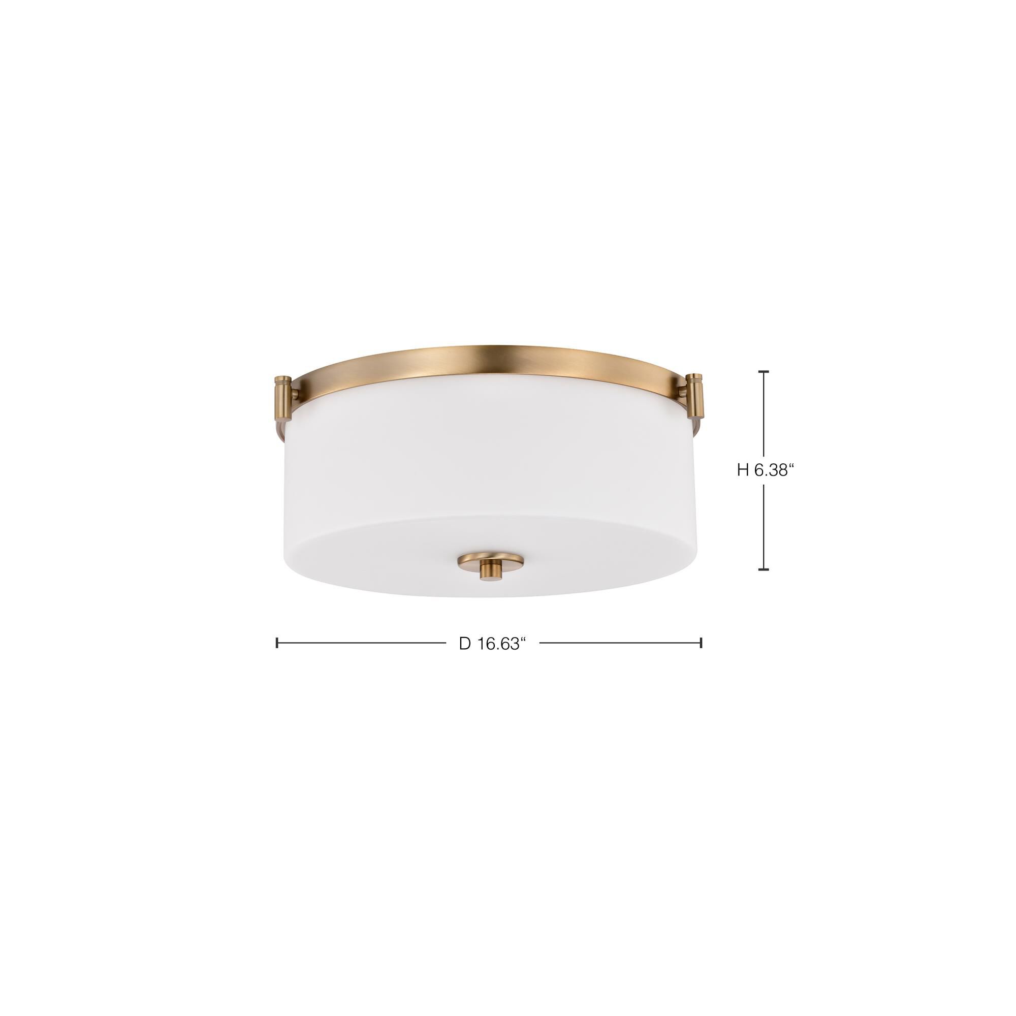 Liam 17 Inch Flush Mount by Nuvo Lighting