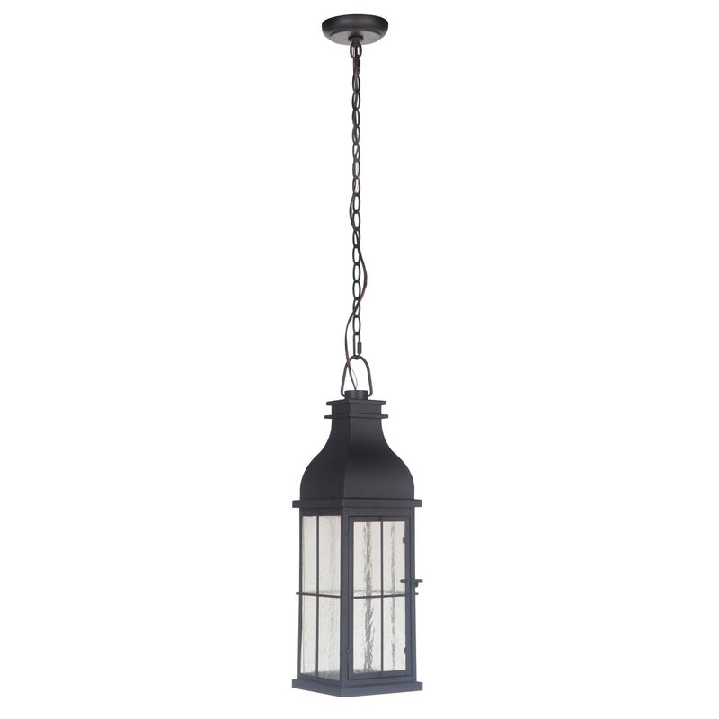 Vincent Medium Outdoor Hanging Lantern by Craftmade