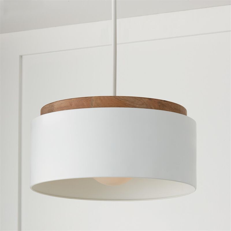 Liam 18 Inch Large Pendant by Capital Lighting Fixture Company