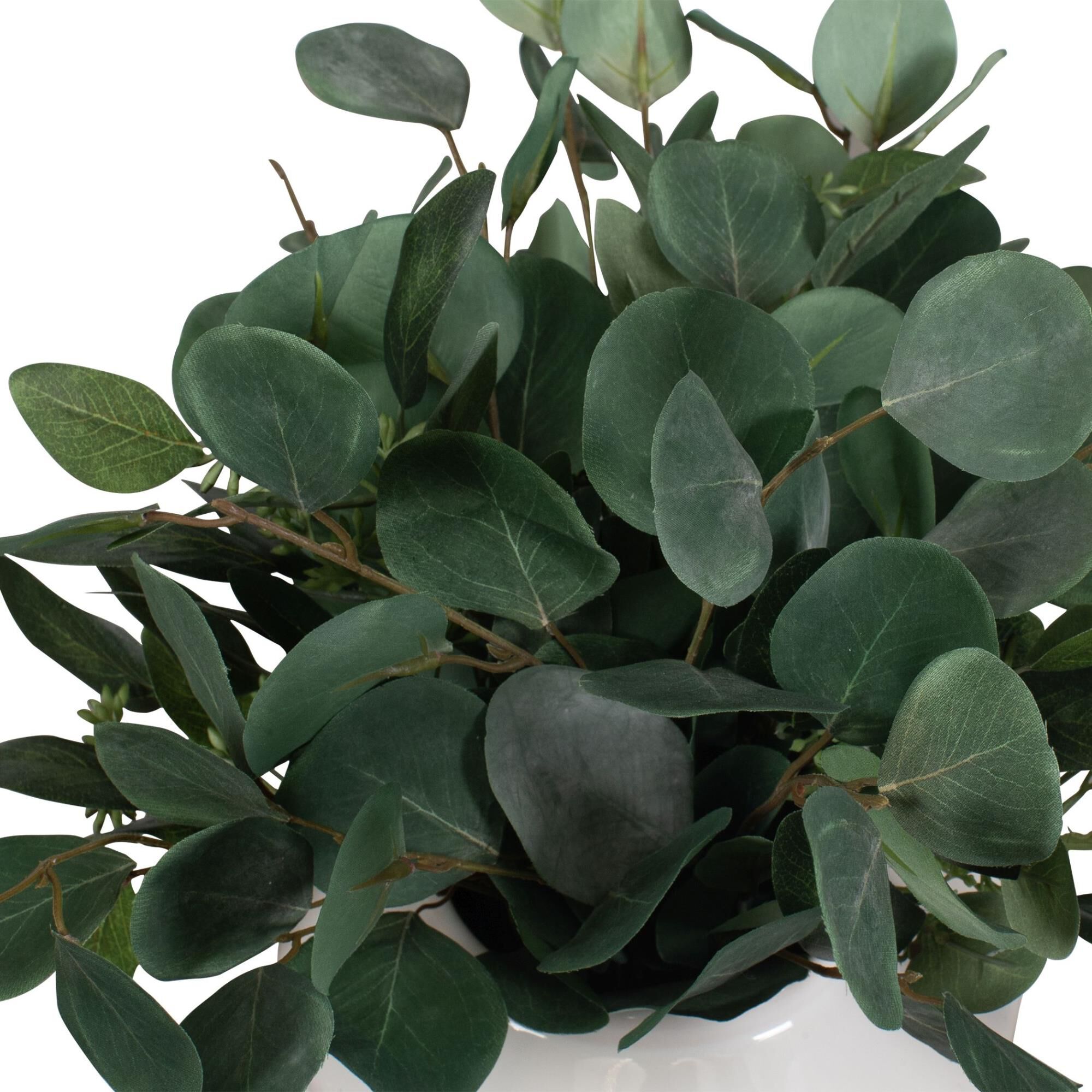 Essence Eucalyptus Botanical by Uttermost