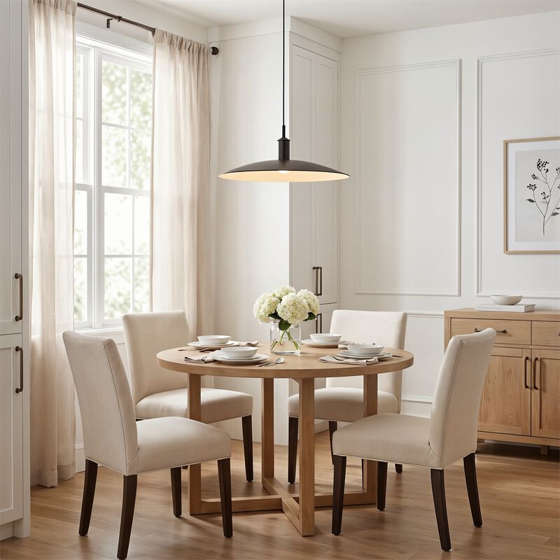 Thomas O'Brien Dash Large Pendant by Visual Comfort Studio Collection