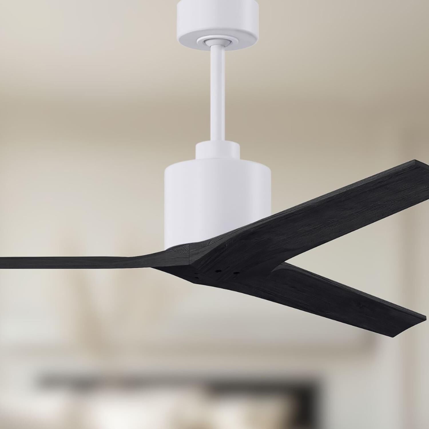 Mollywood 52 Inch Ceiling Fan by Matthews Fan Company