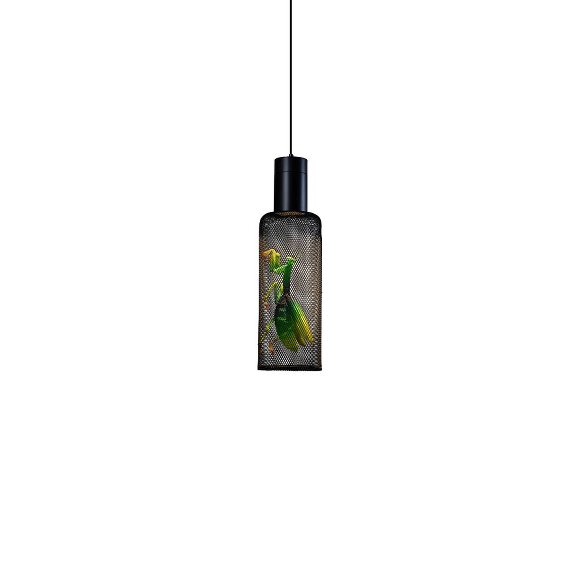 Curio 27 Inch Mini Pendant,