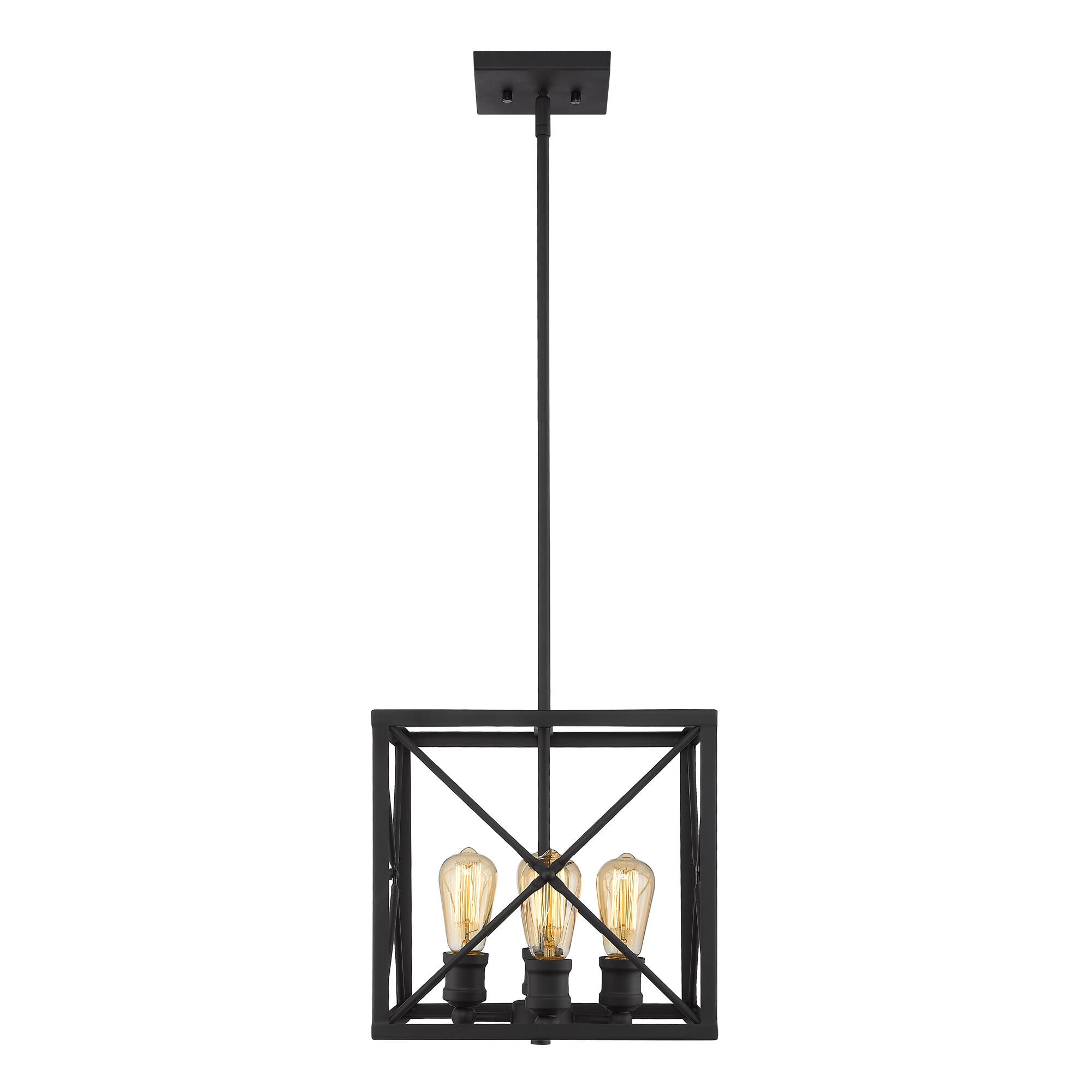 Shown in Matte Black finish and Matte Black glass and Matte Black Metal Cage shade