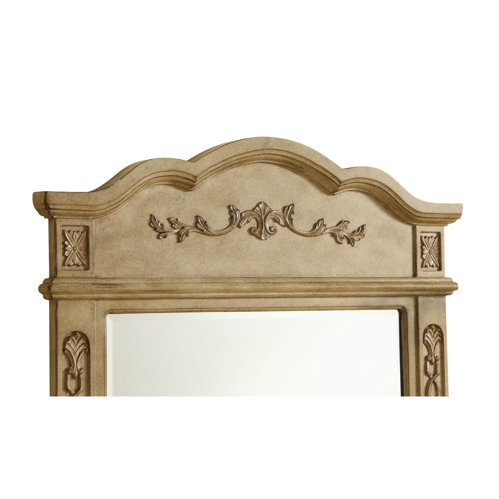 Danville Decorative Mirrors by Elegant Decor