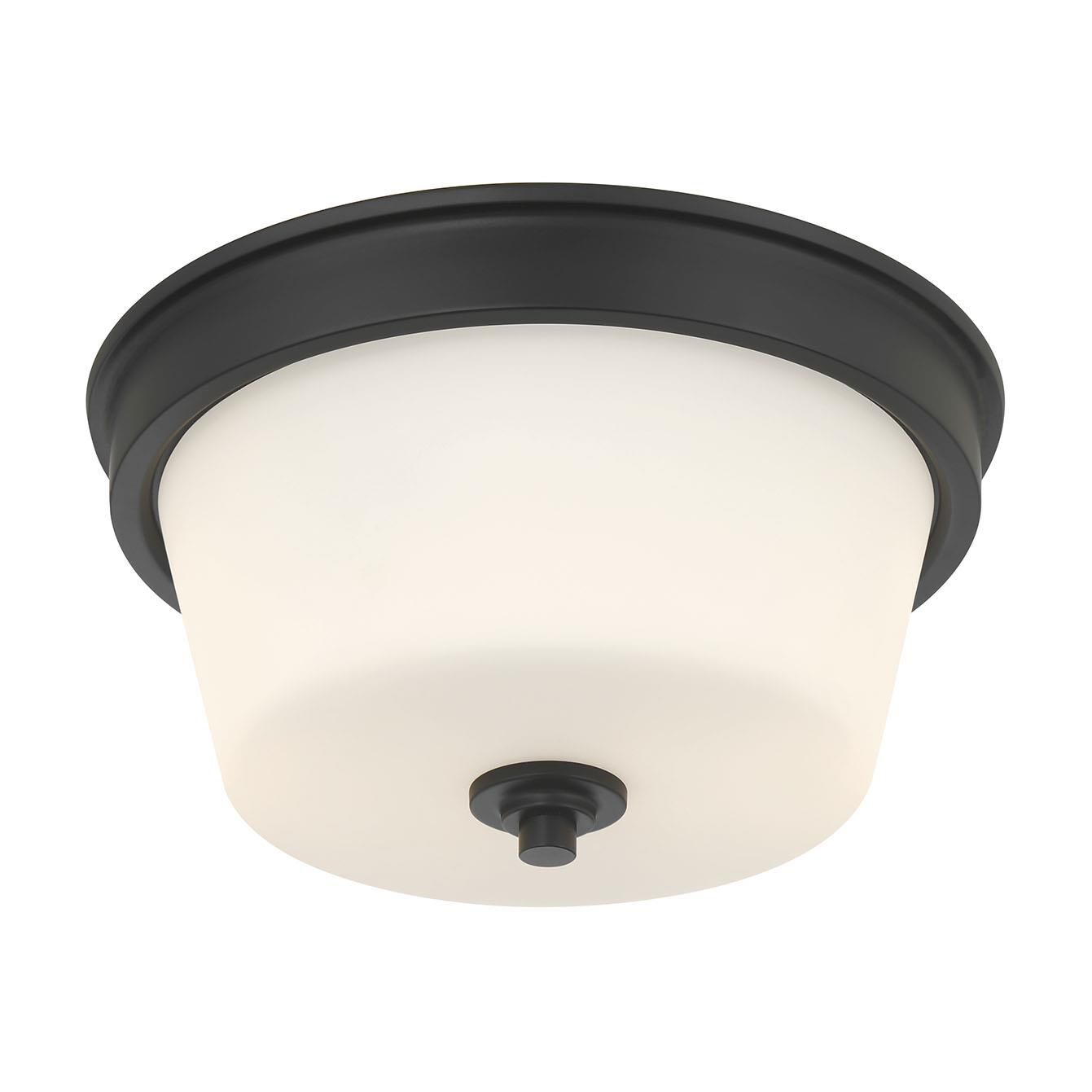 Strayhan 13 Inch Flush Mount by Millennium Lighting
