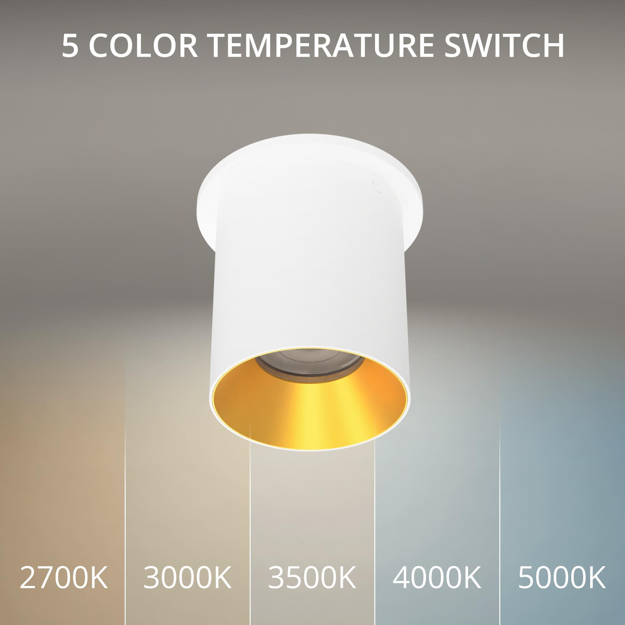 Zoron 5 Inch Outdoor Flush Mount by WAC Lighting