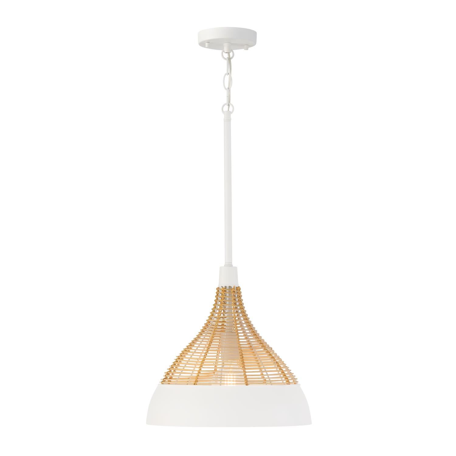 Kali 14 Inch Large Pendant by Capital Lighting Fixture Company