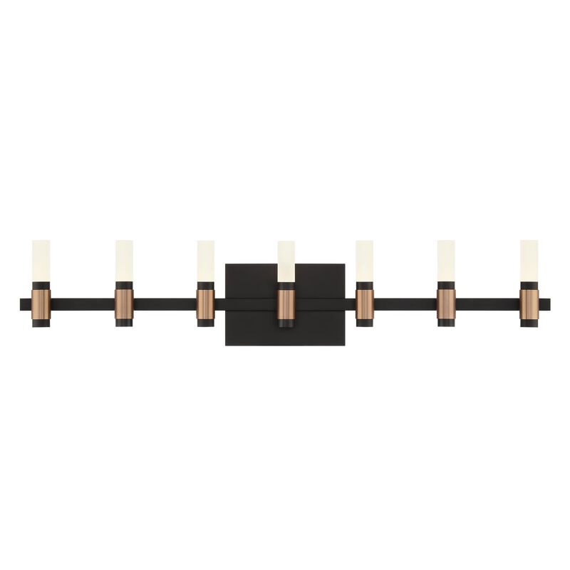 Albany 32 Inch 14 Light Bath Vanity Light by Eurofase Lighting