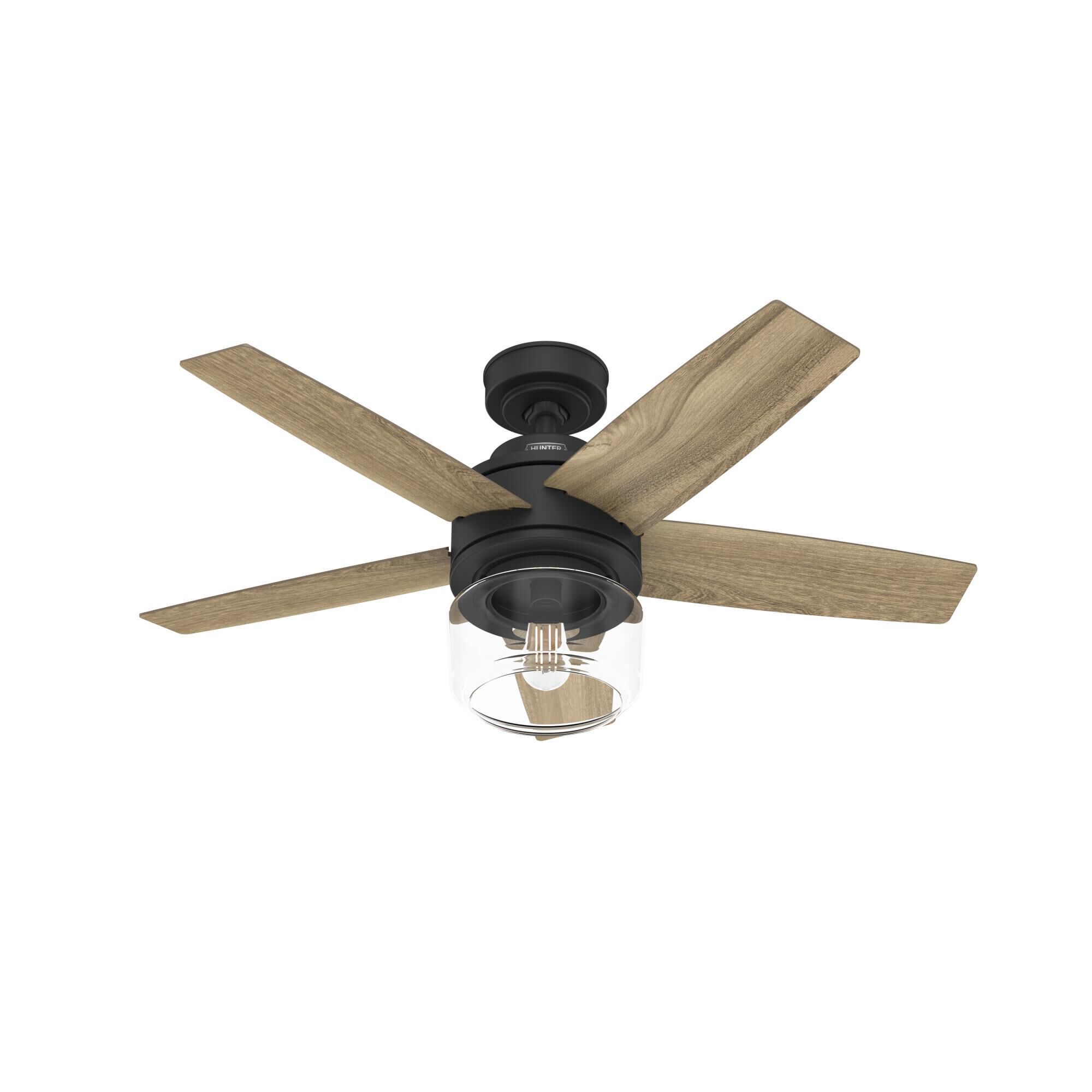Margo Ceiling Fan by Hunter Fan