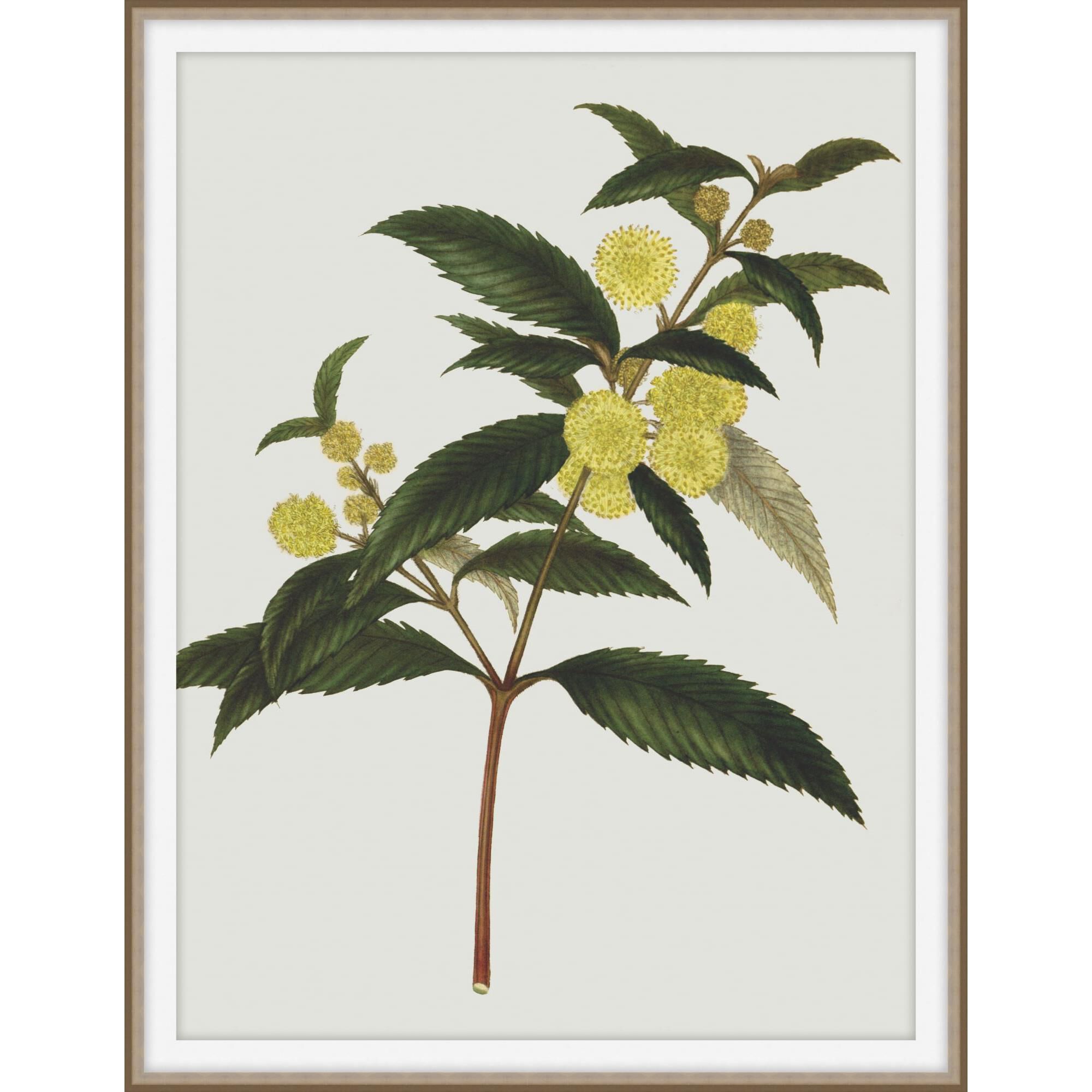 Shown in Brown and Gold finish