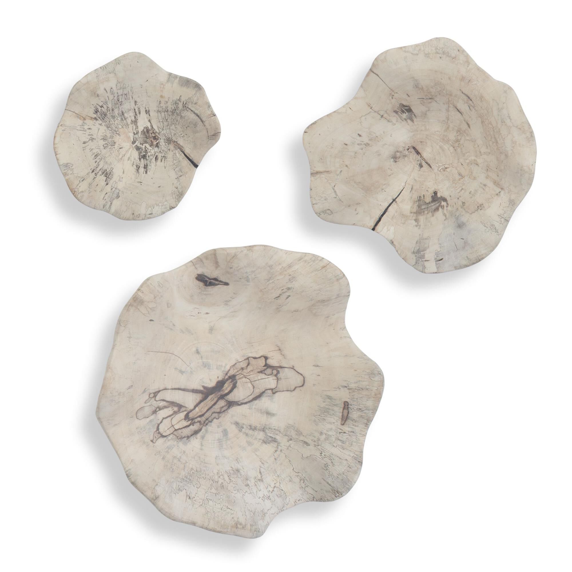 Uttermost Teo Bleached Wood Wall Decor Set/3 Alternative Wall Art by Uttermost