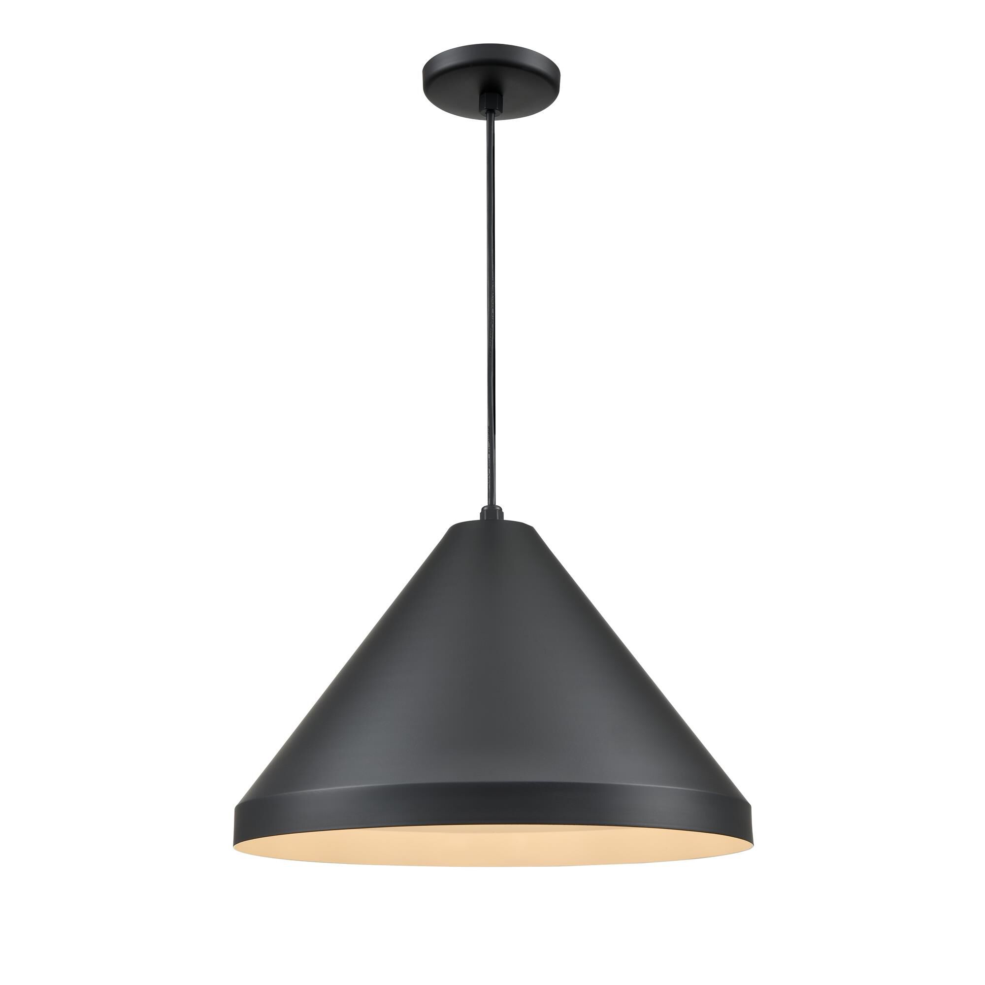 R Series 11 Inch Large Pendant by Millenium Lighting