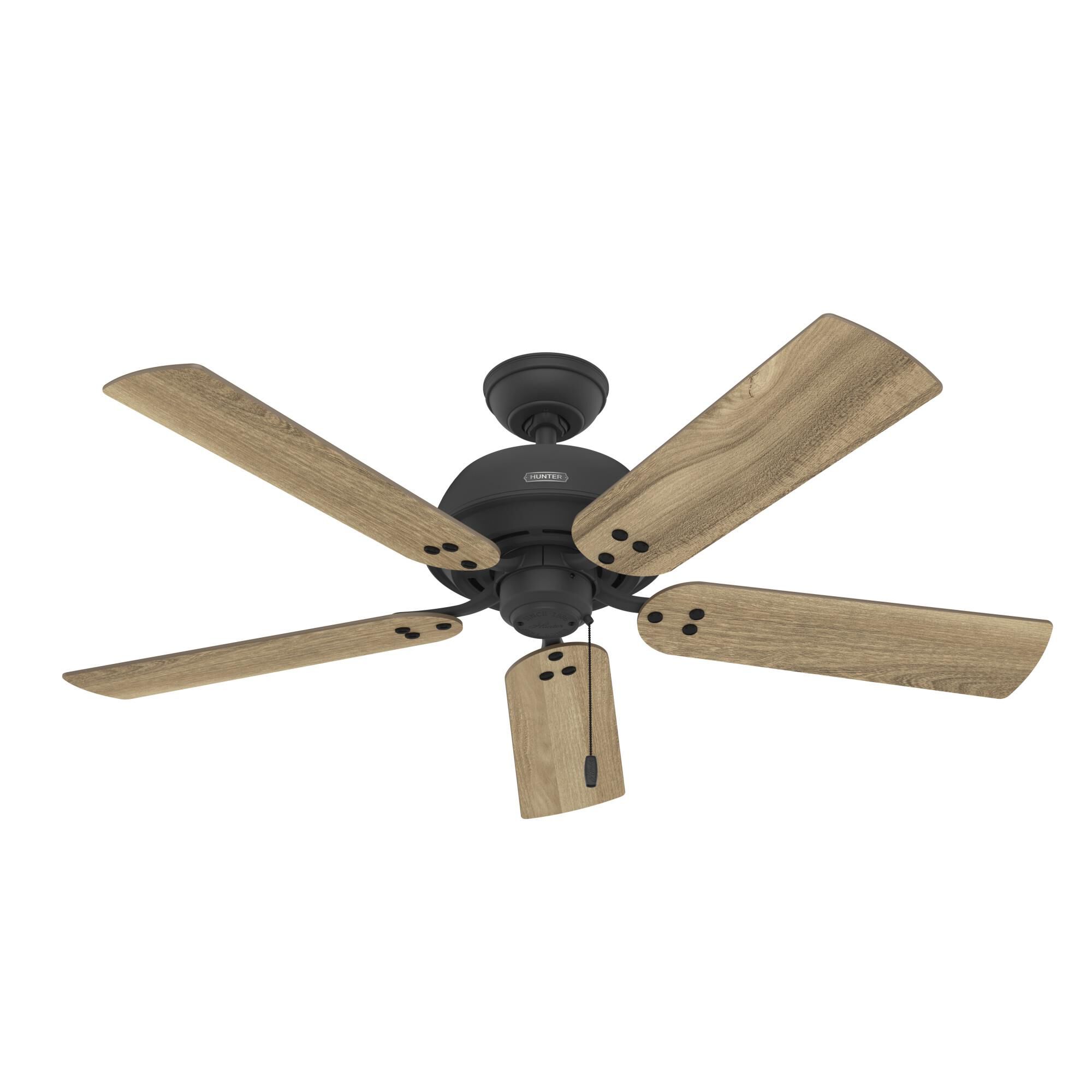 Shady Grove Ceiling Fan by Hunter Fan