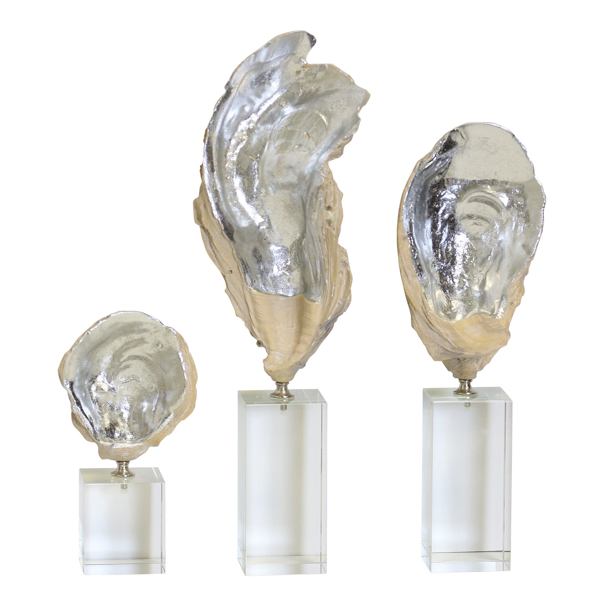 Clam Sculpture Set of 3,