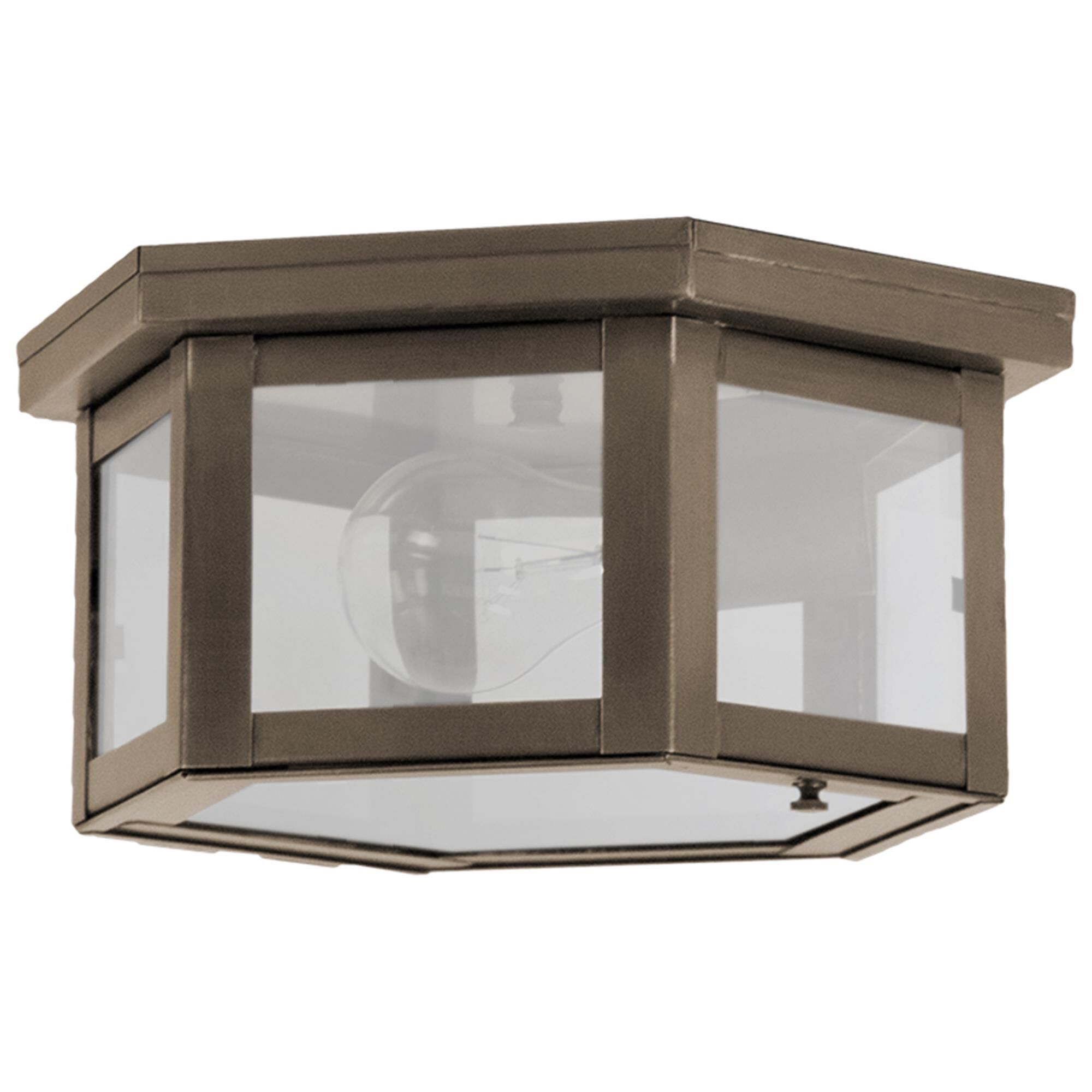 Williams 10 Inch Outdoor Flush Mount,