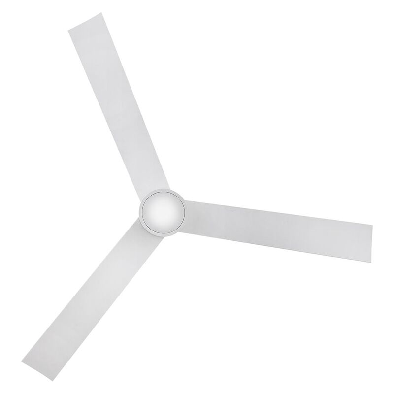 Speck 52 Inch Flush Mount Fan with Light Kit by Hinkley