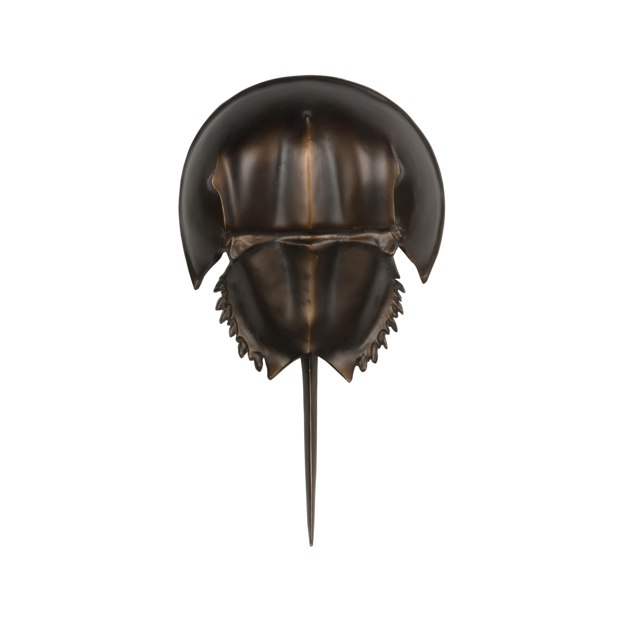 Horseshoe Crab 16 Inch Wall Sconce by Chelsea House