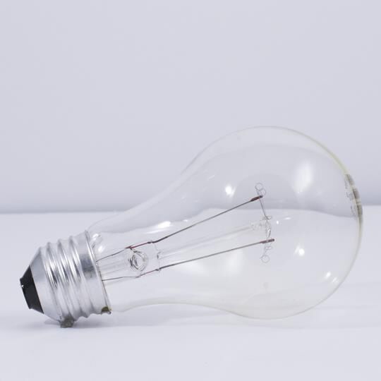 25 Watt 2700K A19 Incandescent Light Bulb by Bulbrite